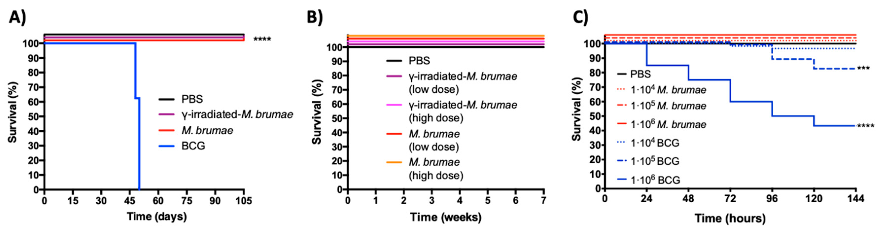 Vaccines 08 00198 g002