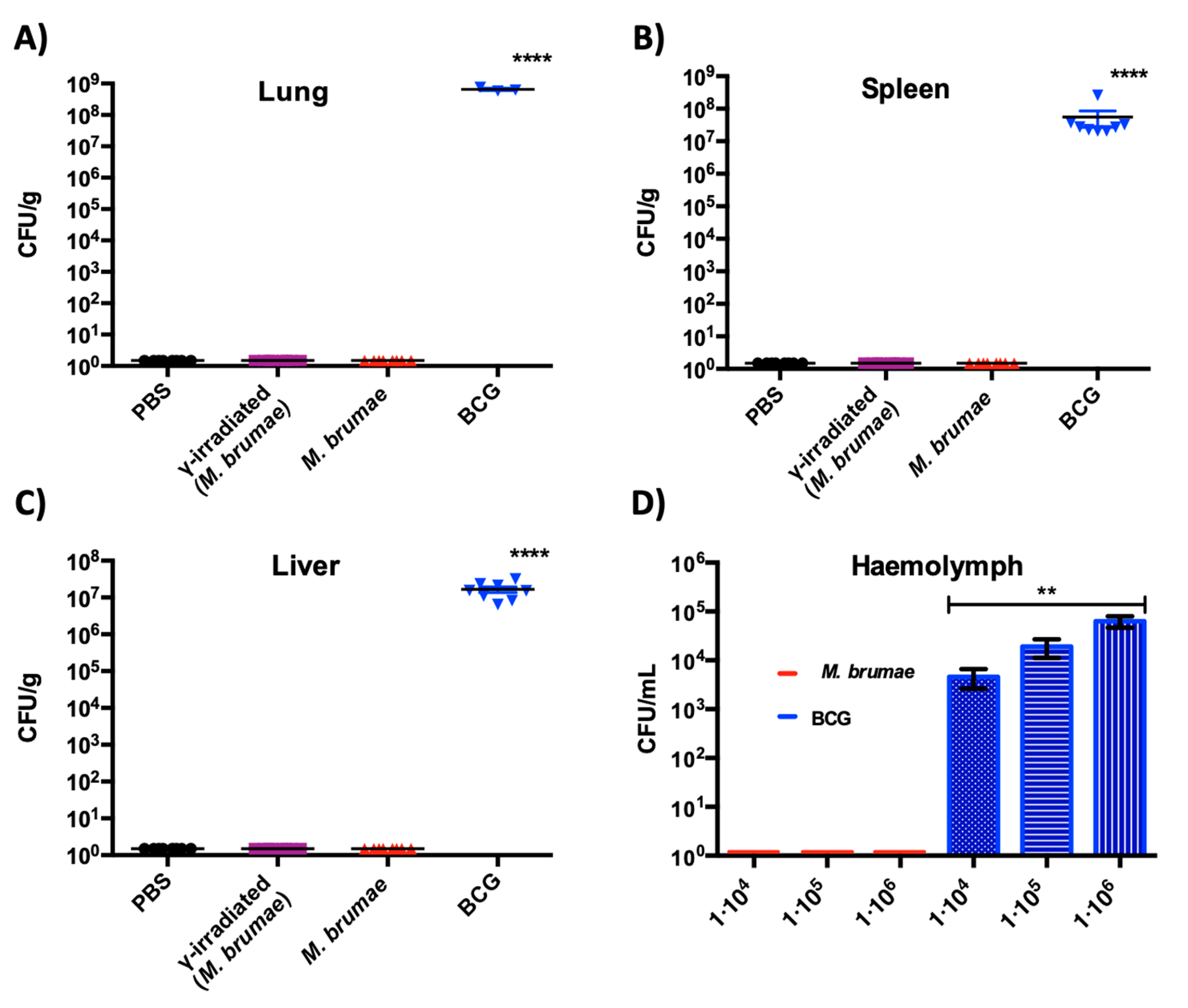 Vaccines 08 00198 g003