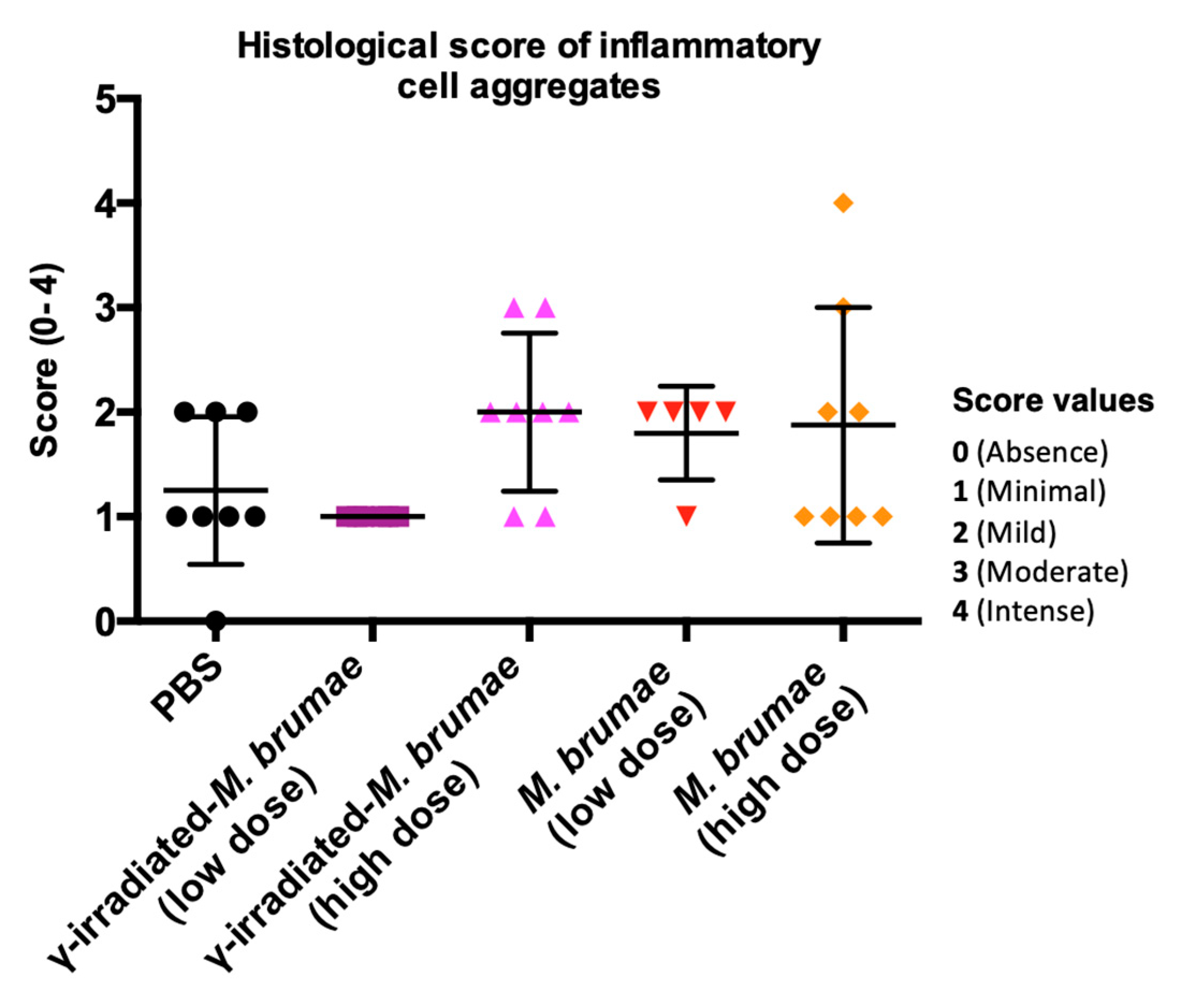 Vaccines 08 00198 g005