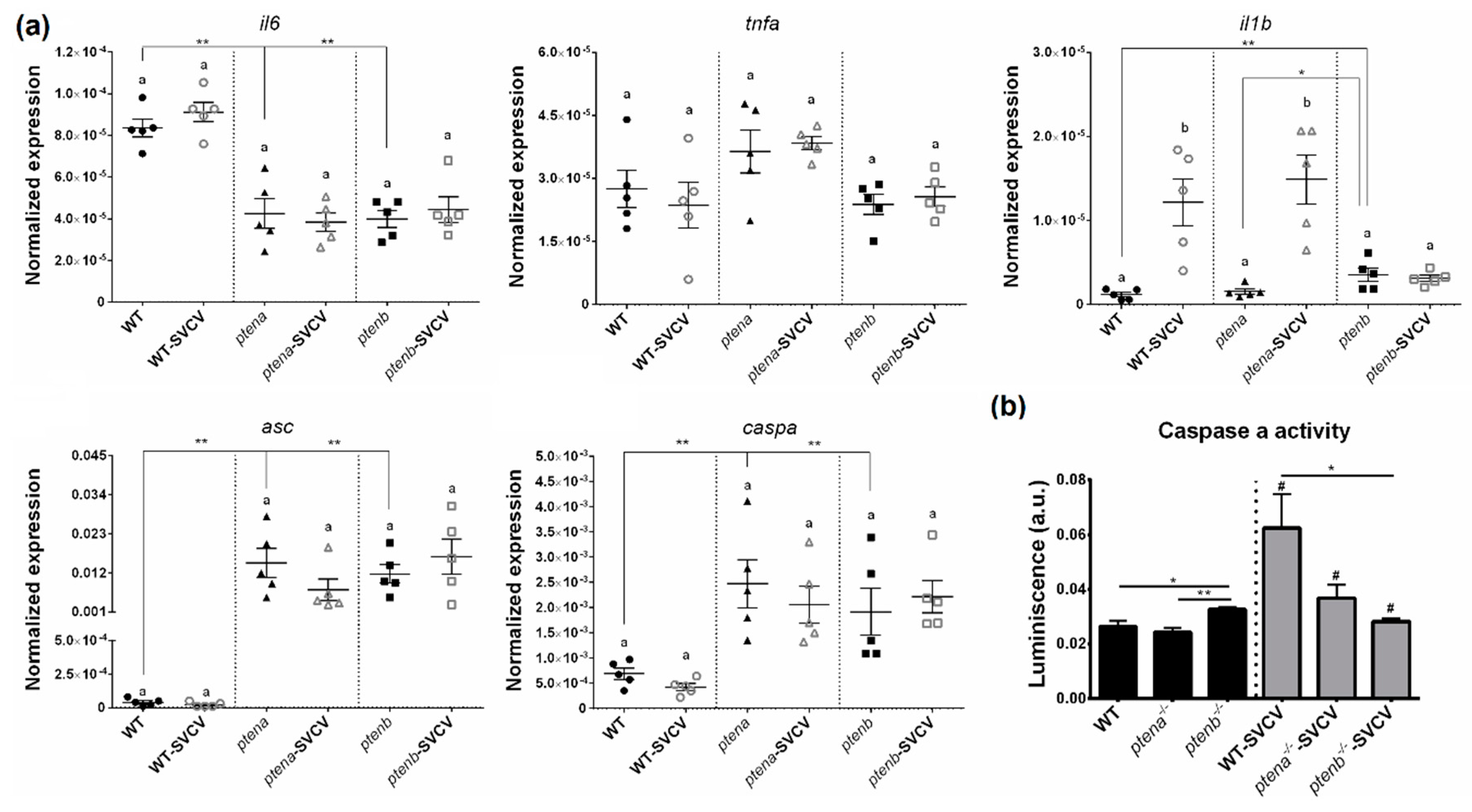 Vaccines 08 00199 g007 Vaccines 08 00199 g007