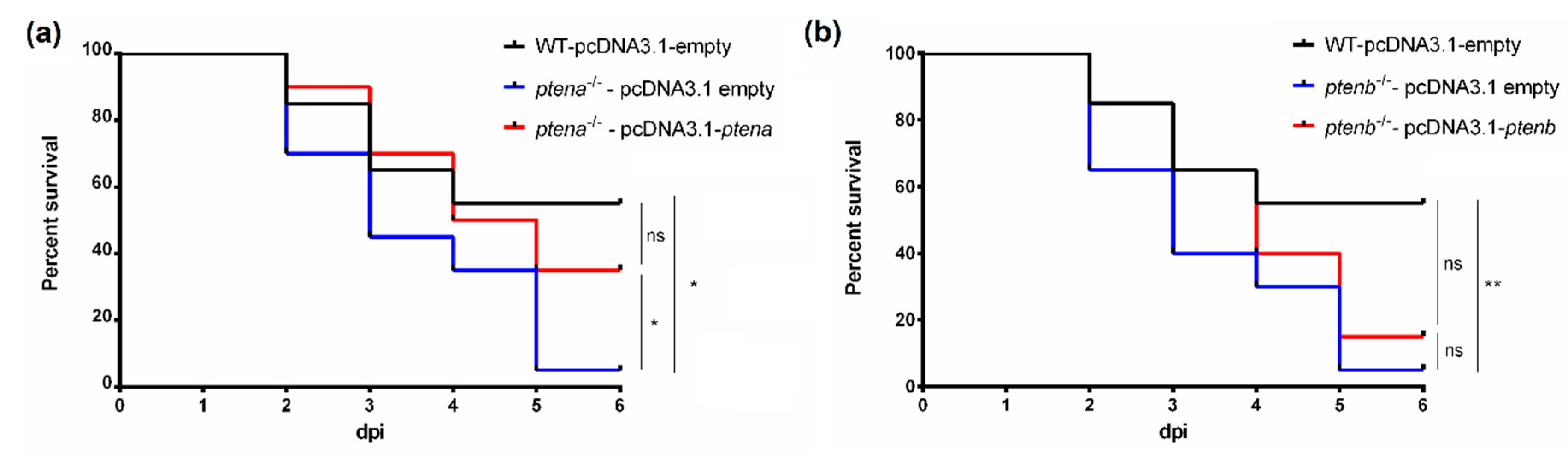 Vaccines 08 00199 g008 Vaccines 08 00199 g008