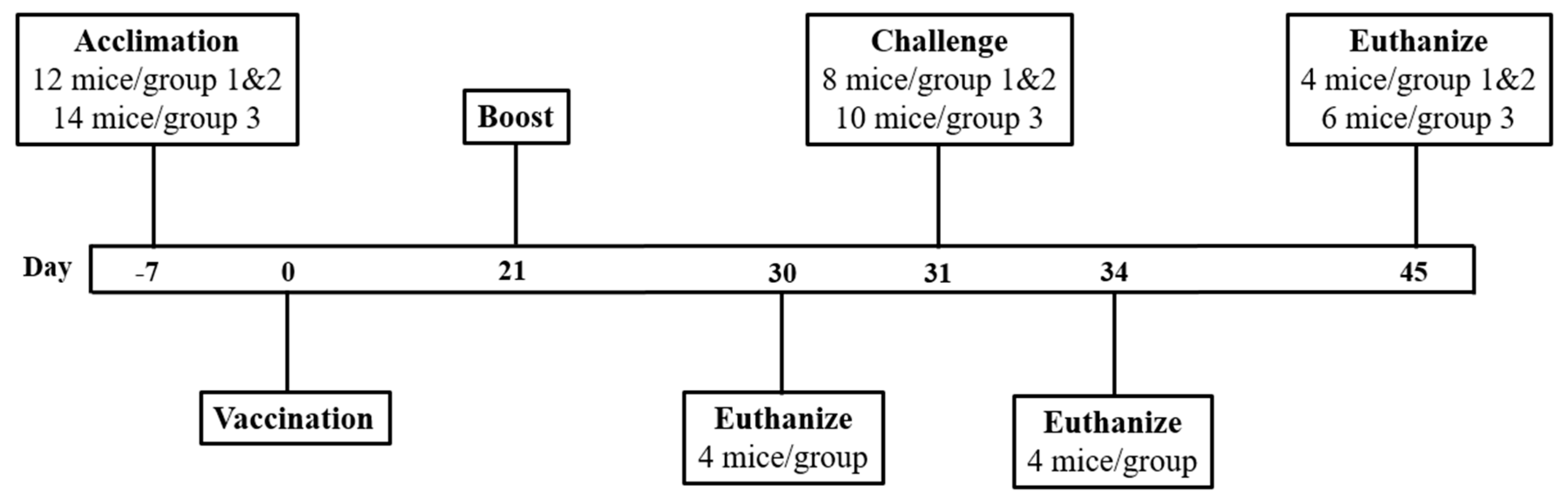 Vaccines 08 00207 g004