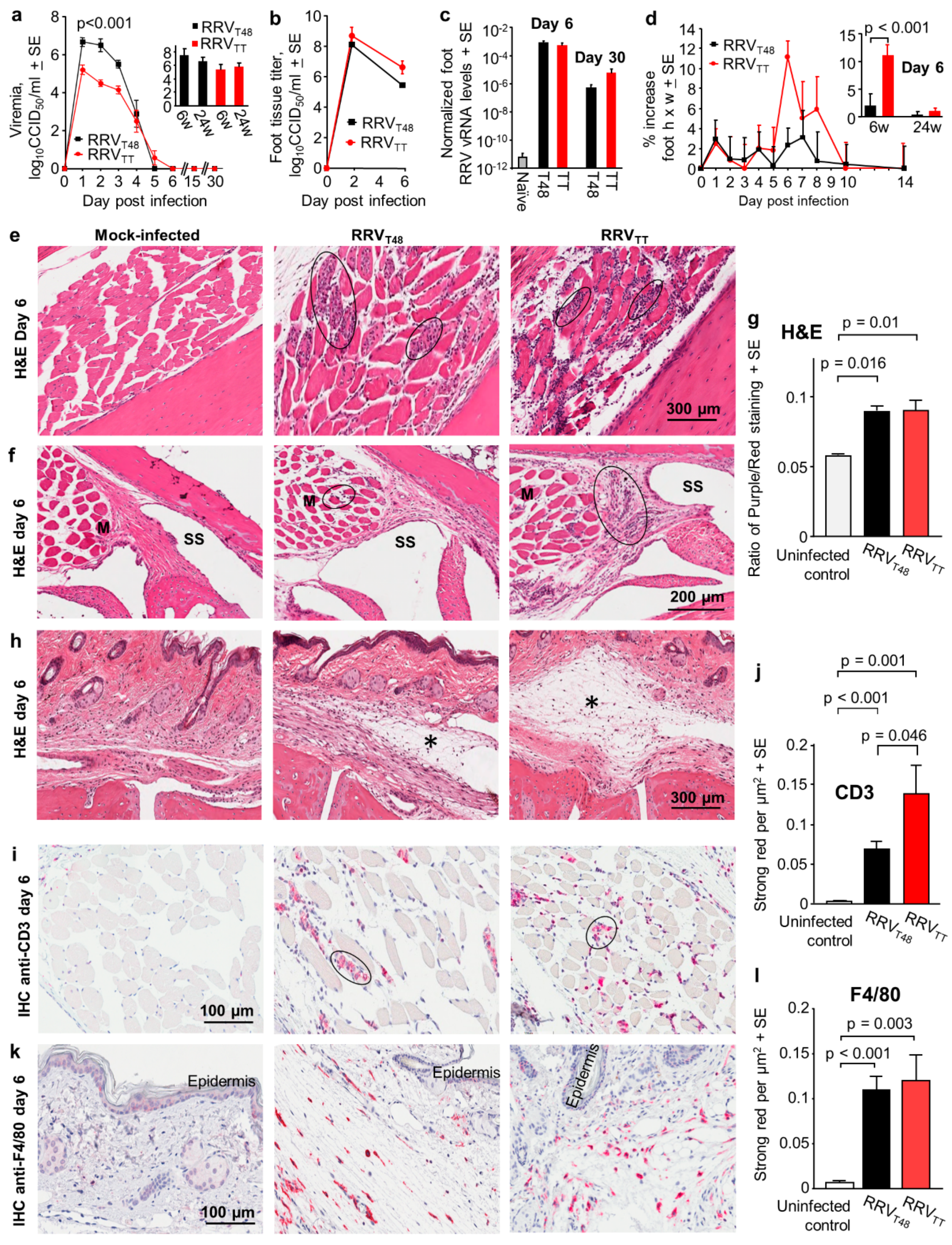 Vaccines 08 00209 g001 Vaccines 08 00209 g001