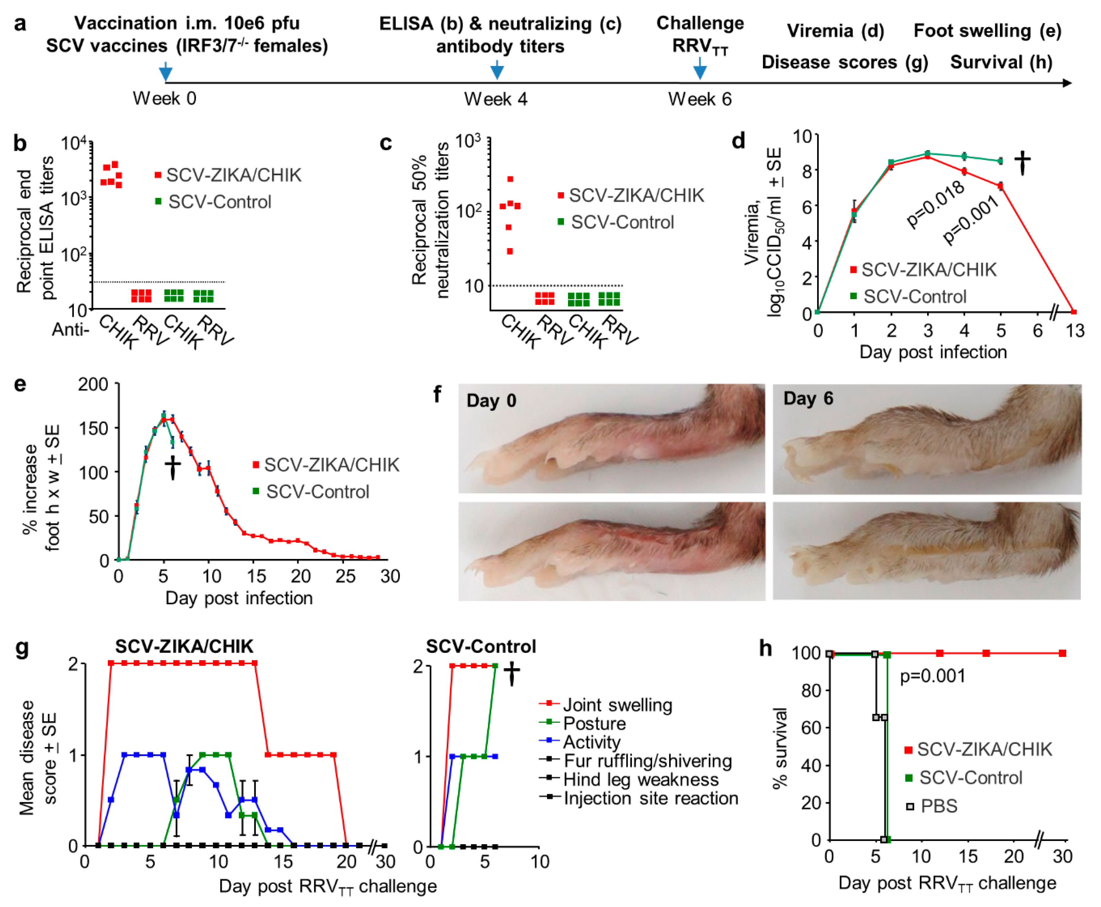 Vaccines 08 00209 g006 Vaccines 08 00209 g006