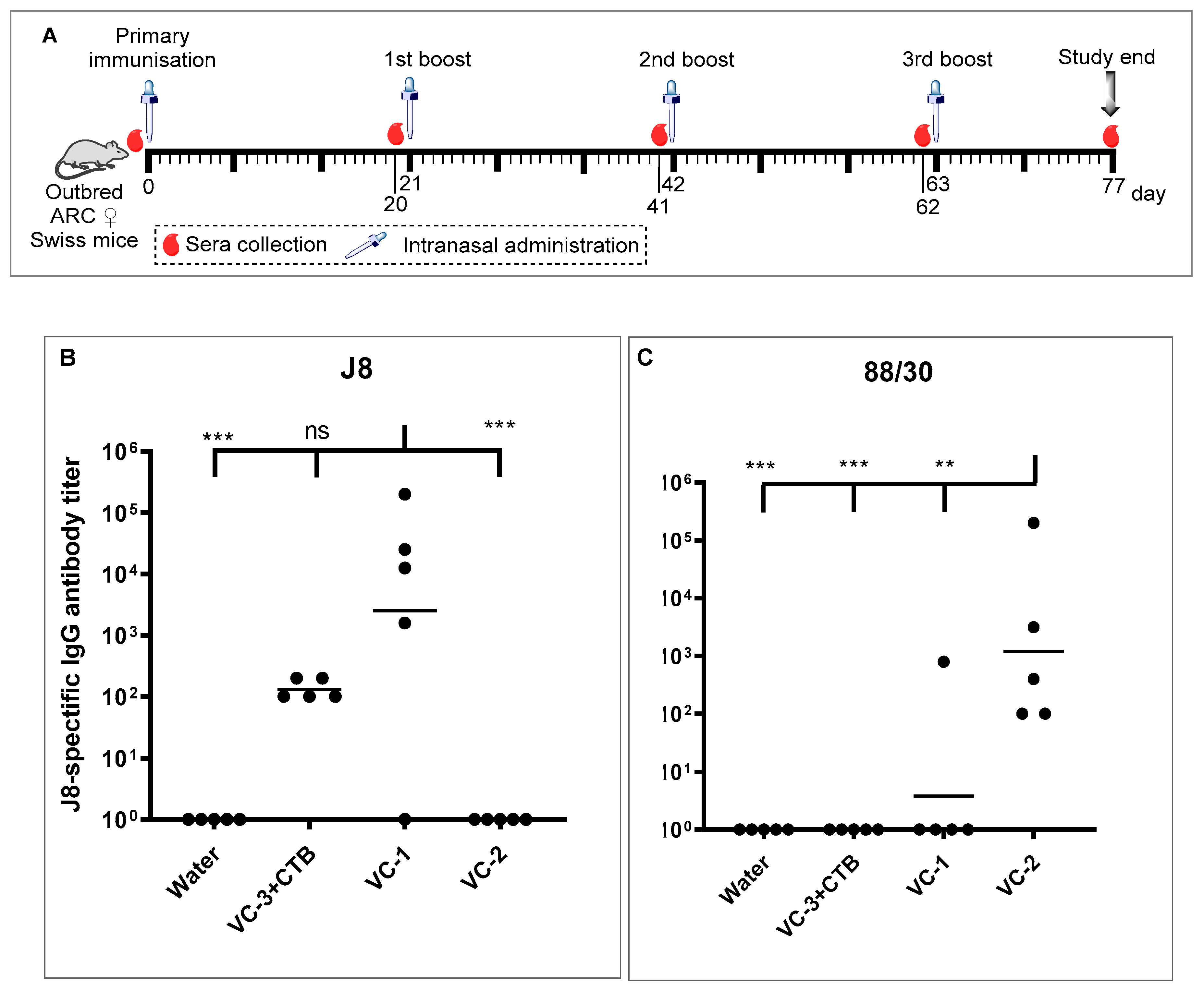 Vaccines 08 00210 g004