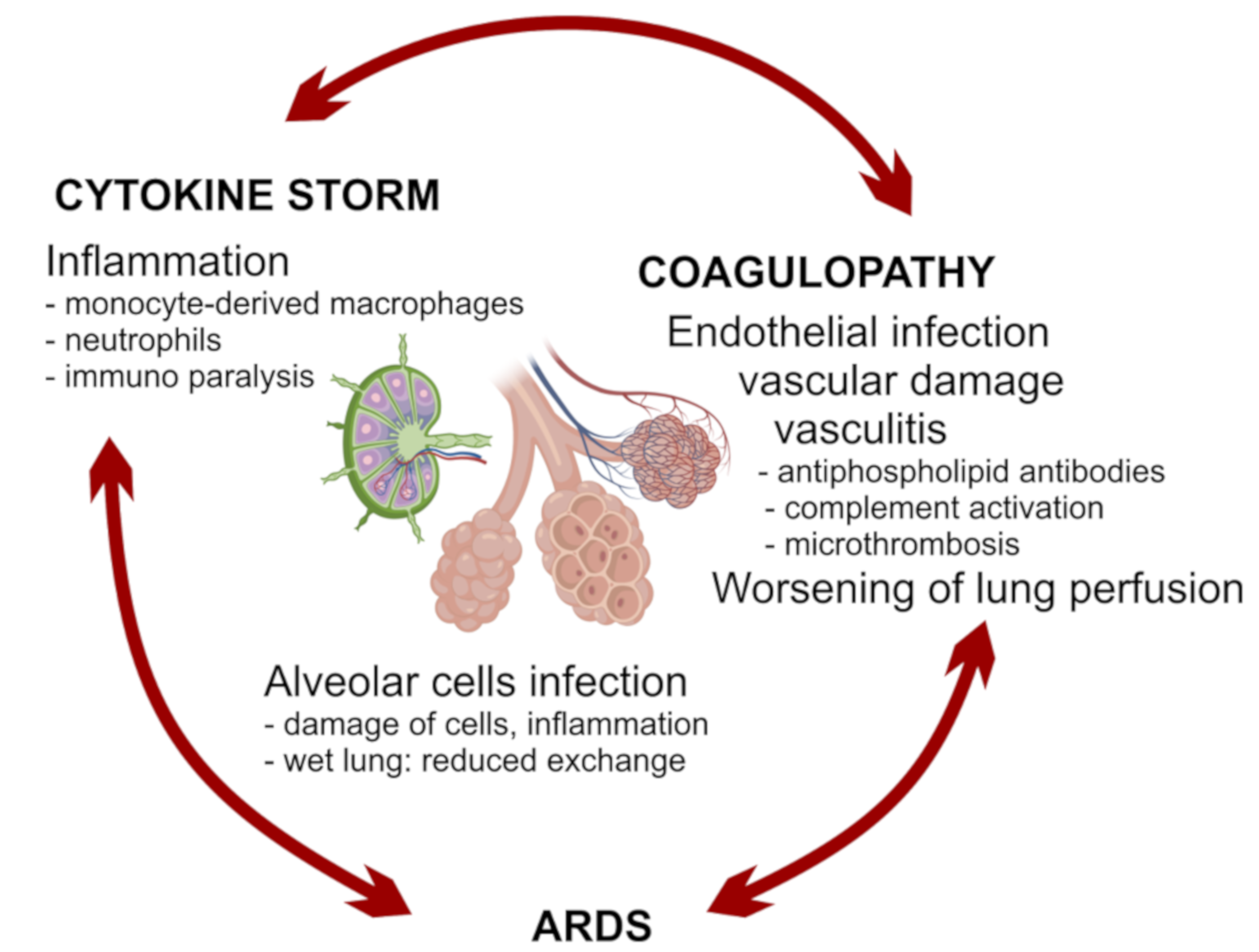 Vaccines 08 00224 g002