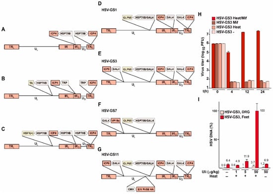 Vaccines 08 00230 g001