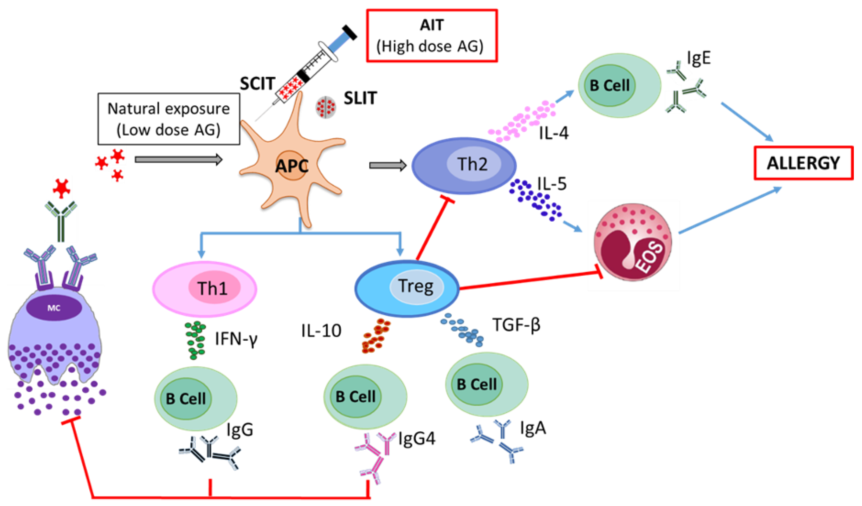 Vaccines 08 00237 g001