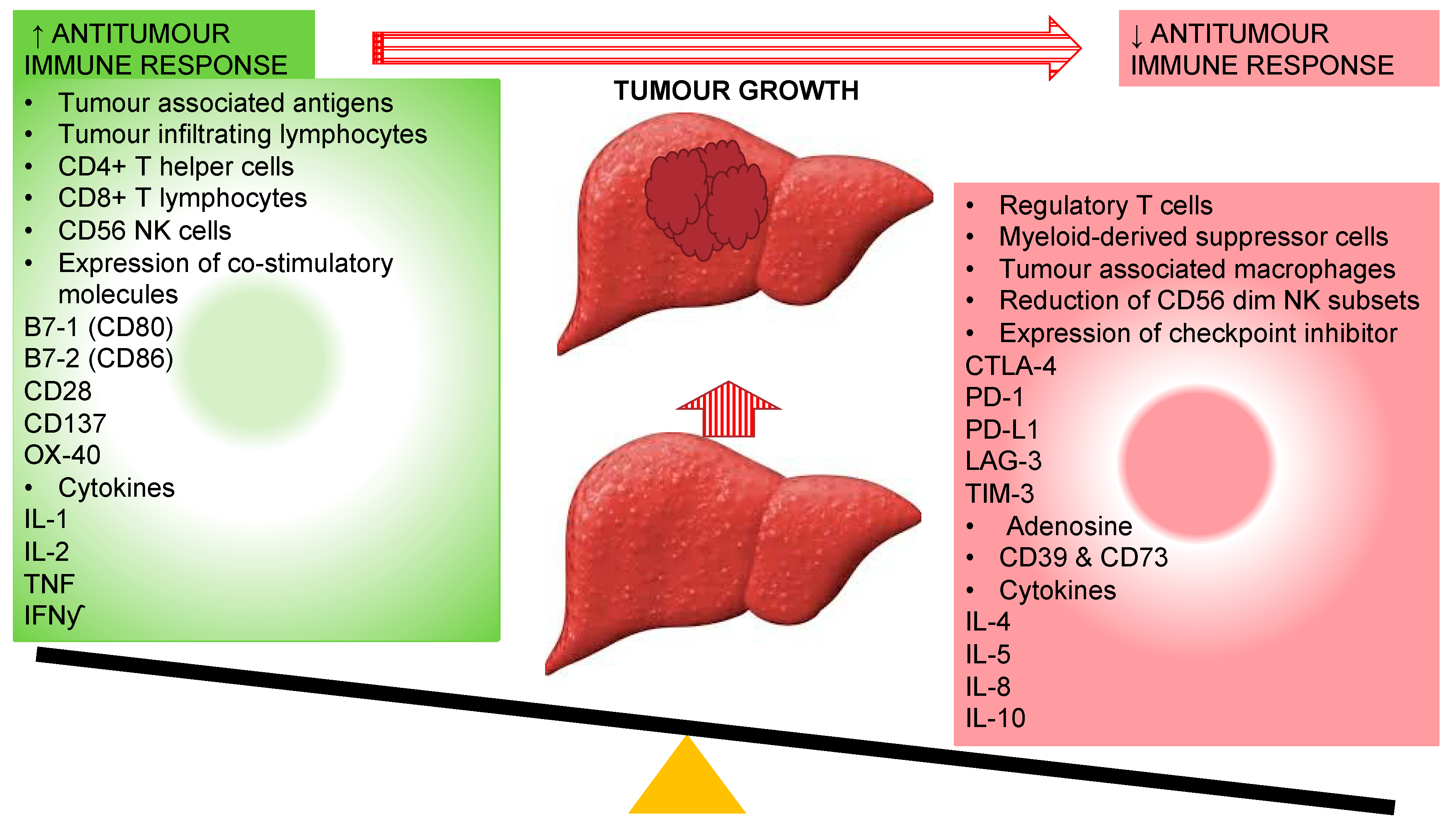 Vaccines 08 00247 g002
