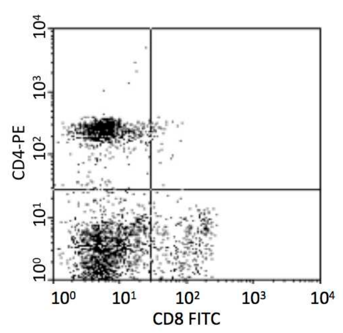 Vaccines 08 00250 g001