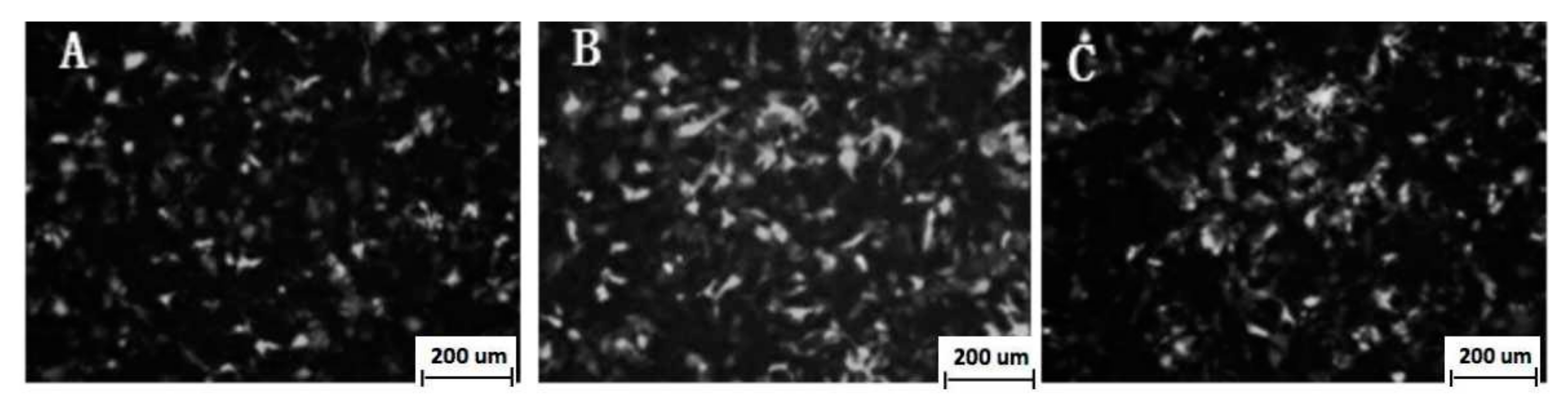 Vaccines 08 00250 g003