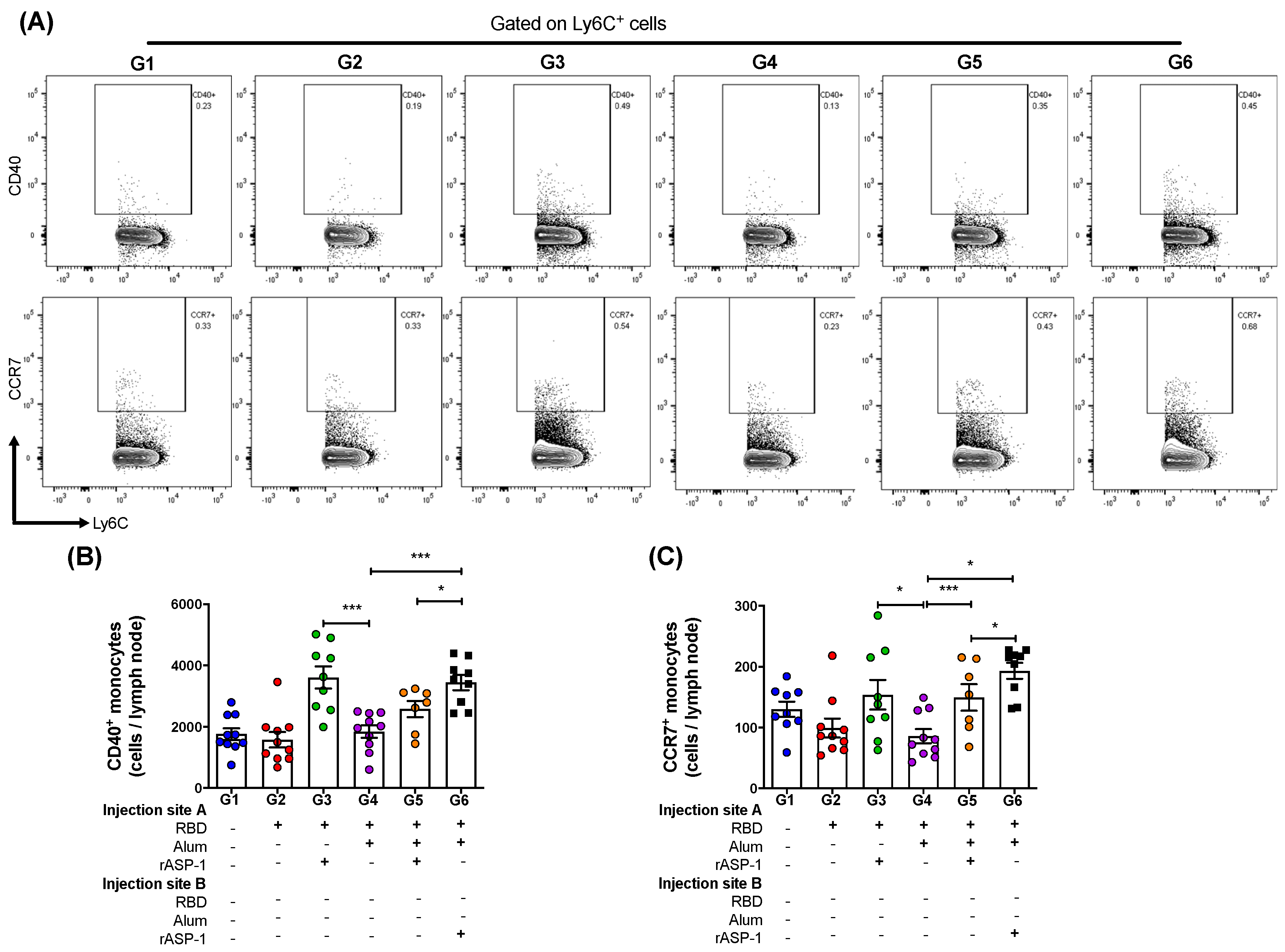 Vaccines 08 00251 g003 Vaccines 08 00251 g003
