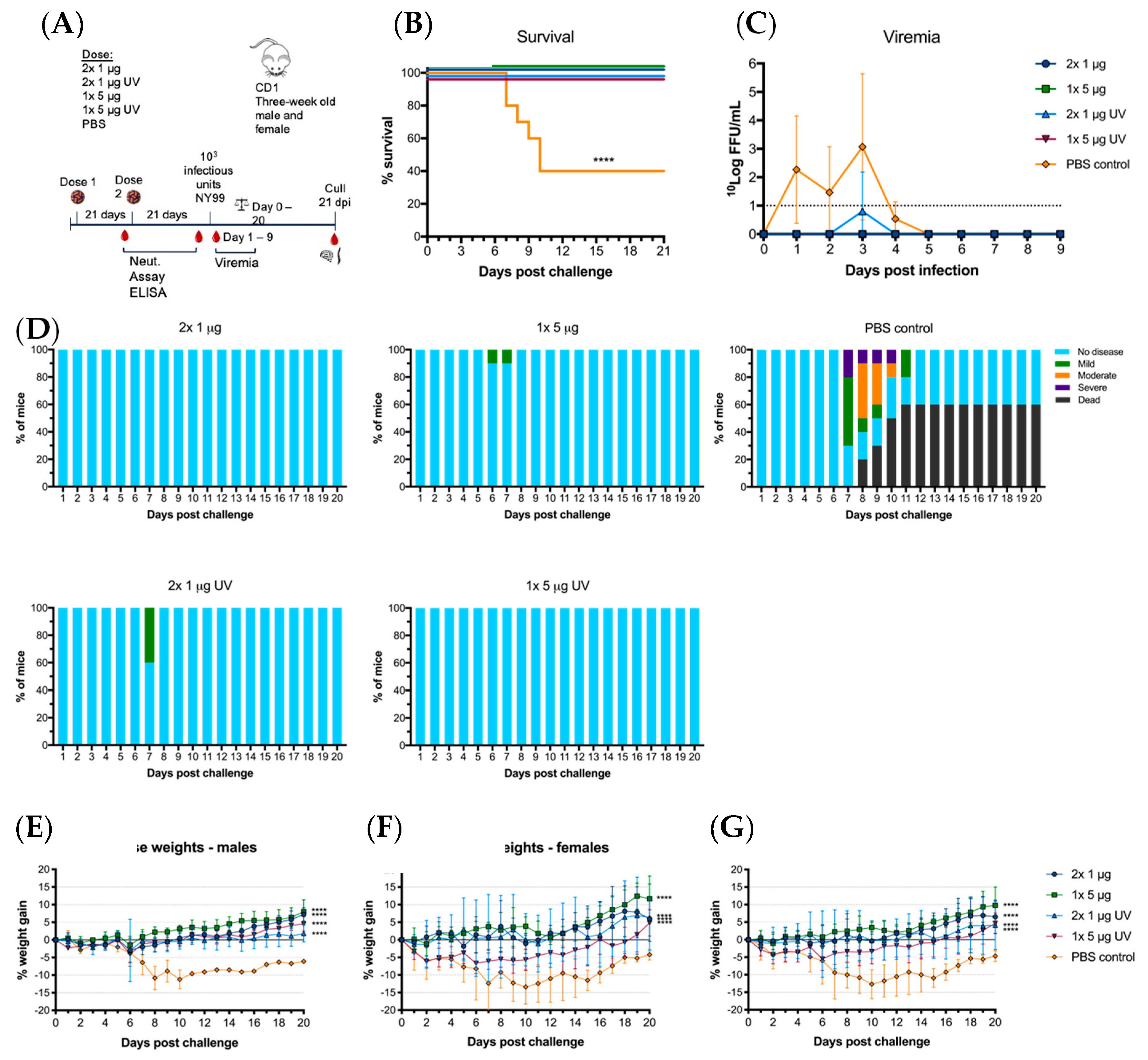 Vaccines 08 00258 g005