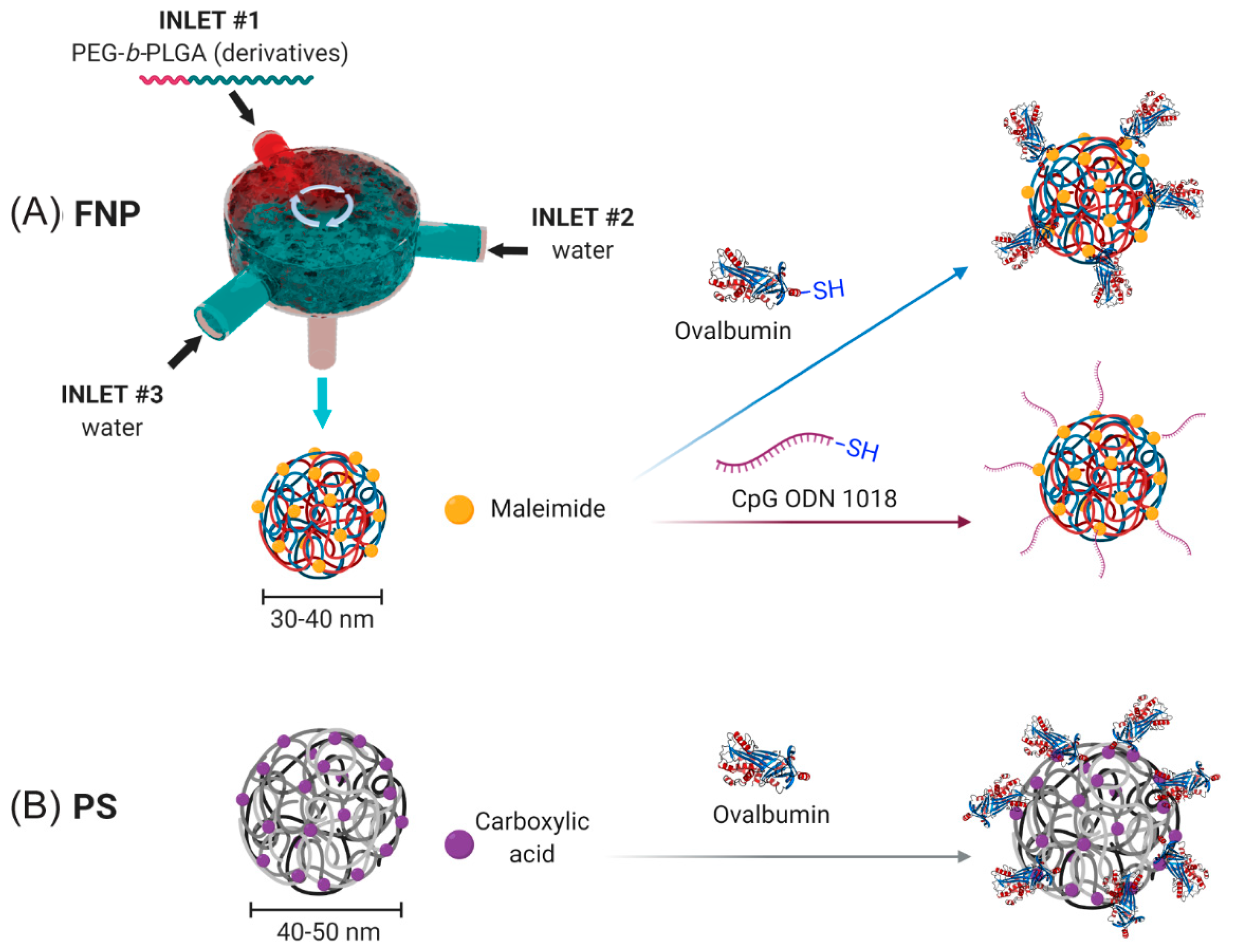 Vaccines 08 00261 g001