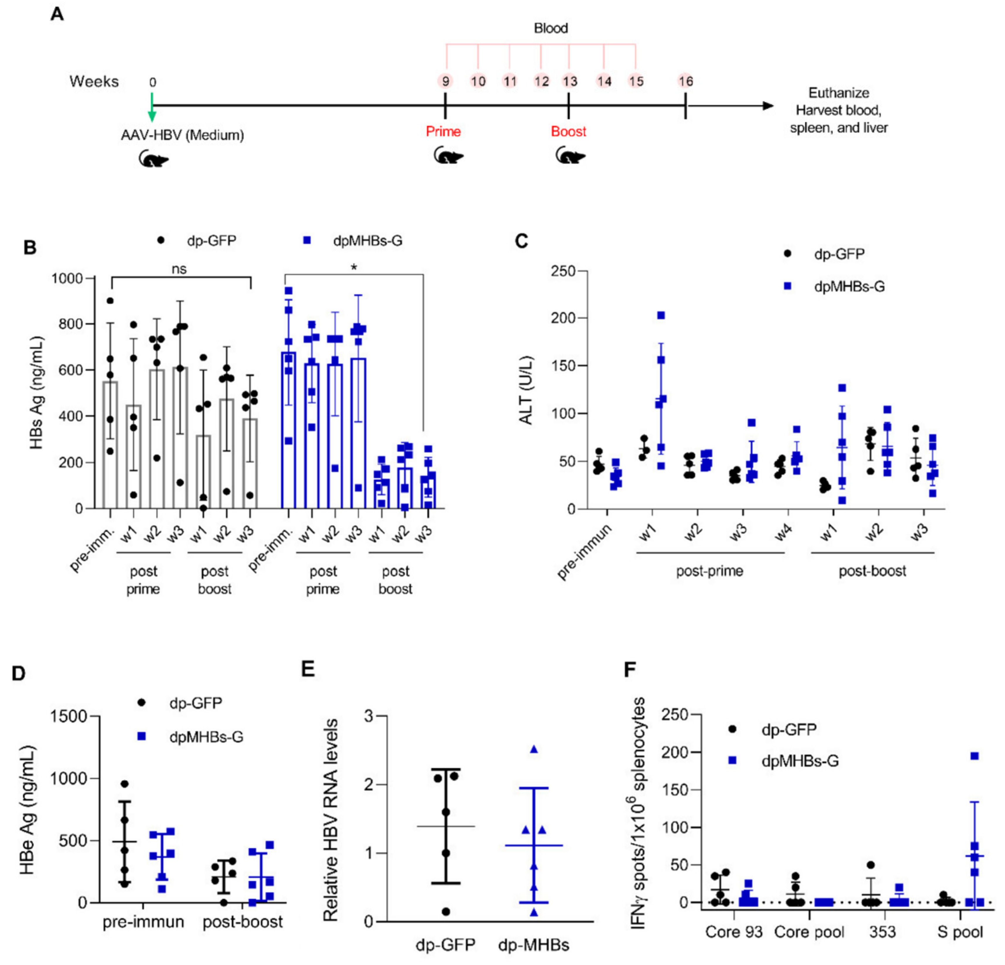 Vaccines 08 00279 g005a