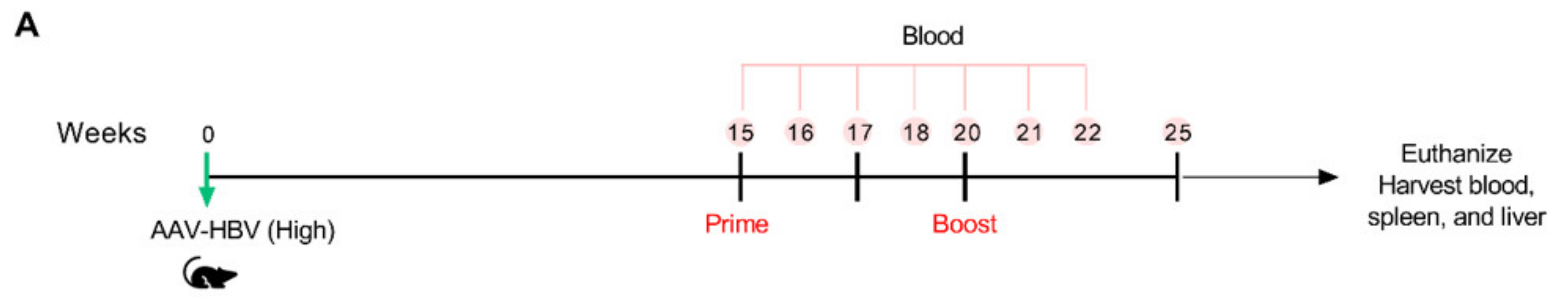Vaccines 08 00279 g006a