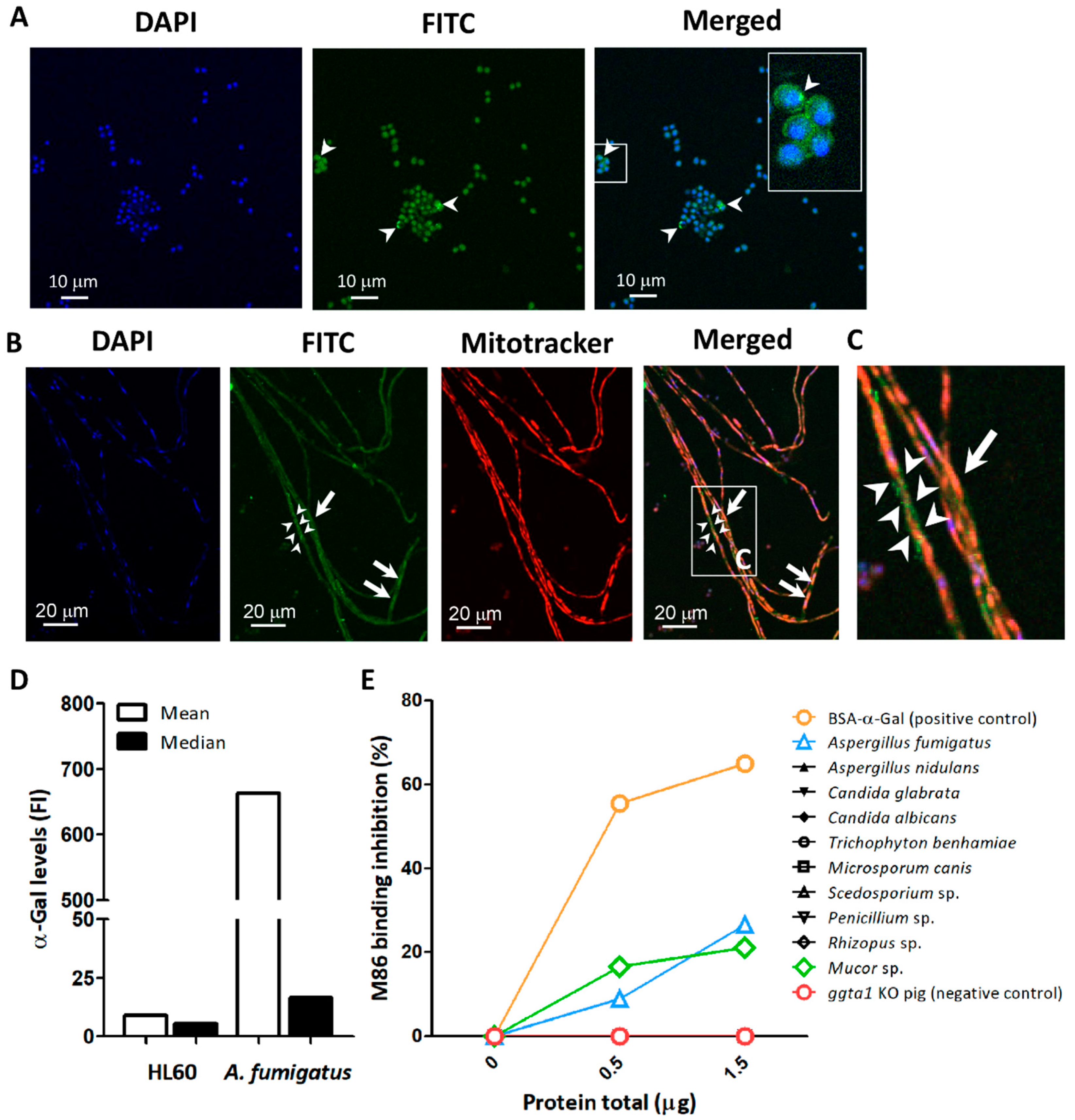 Vaccines 08 00285 g001