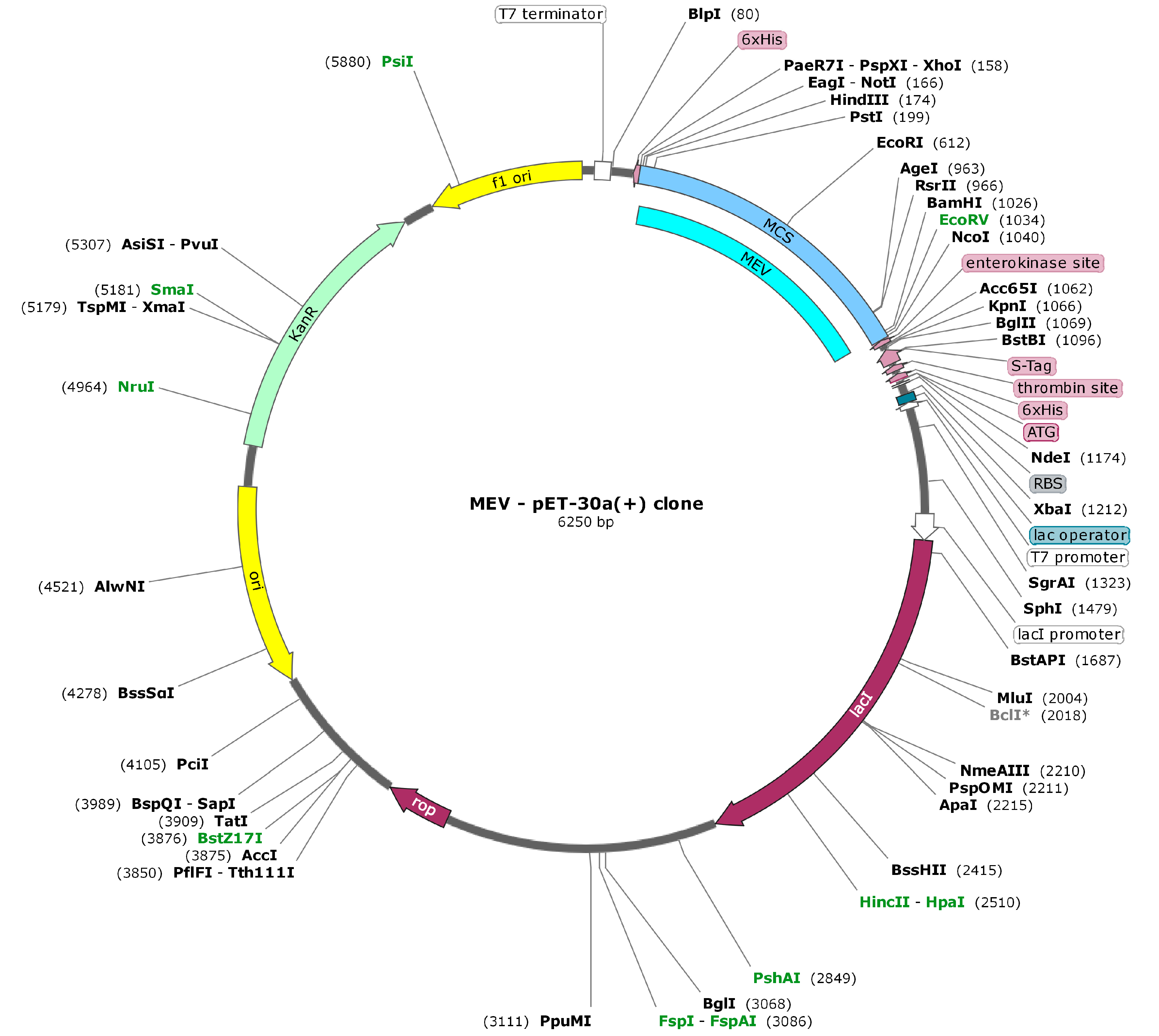 Vaccines 08 00288 g011