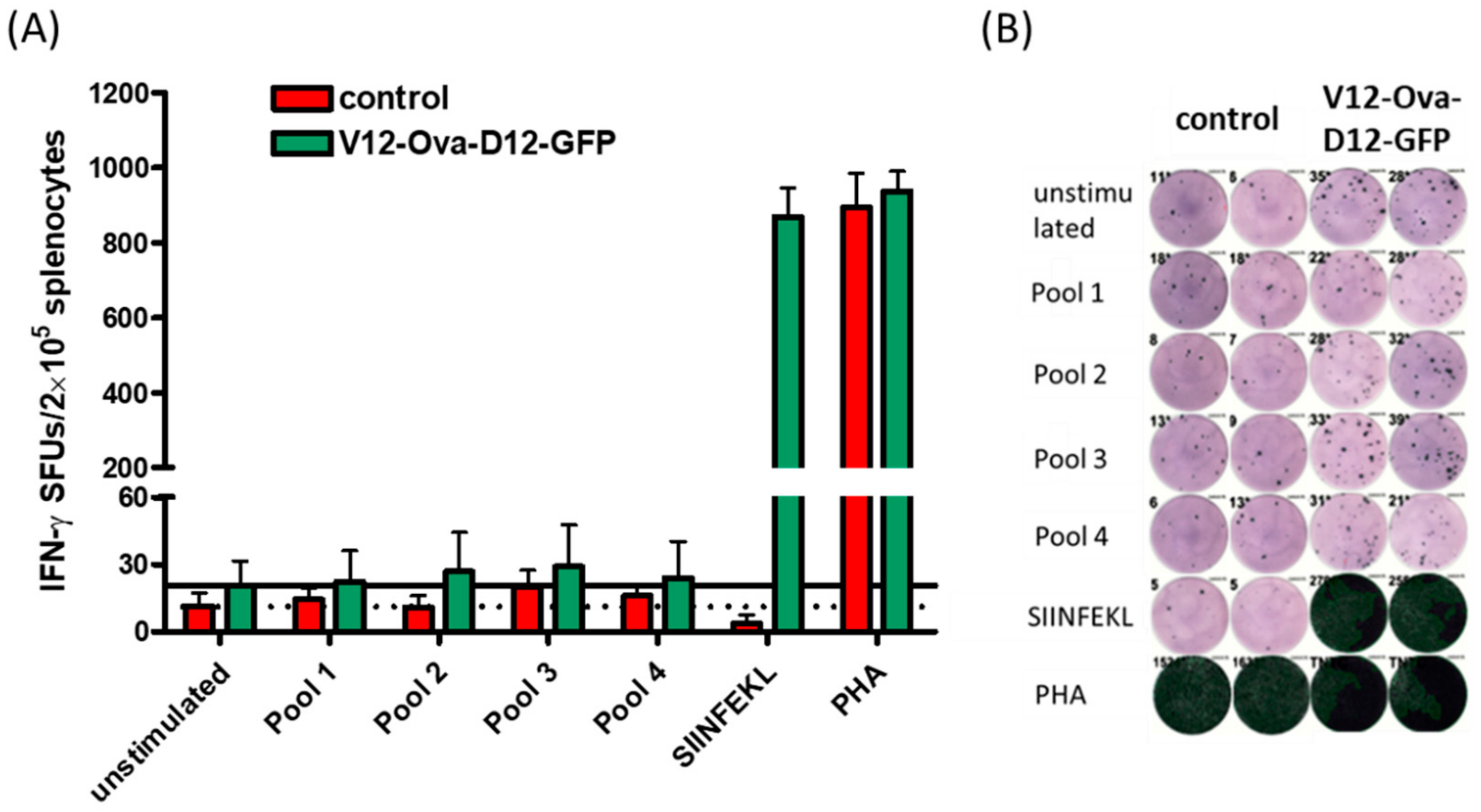Vaccines 08 00295 g003 Vaccines 08 00295 g003