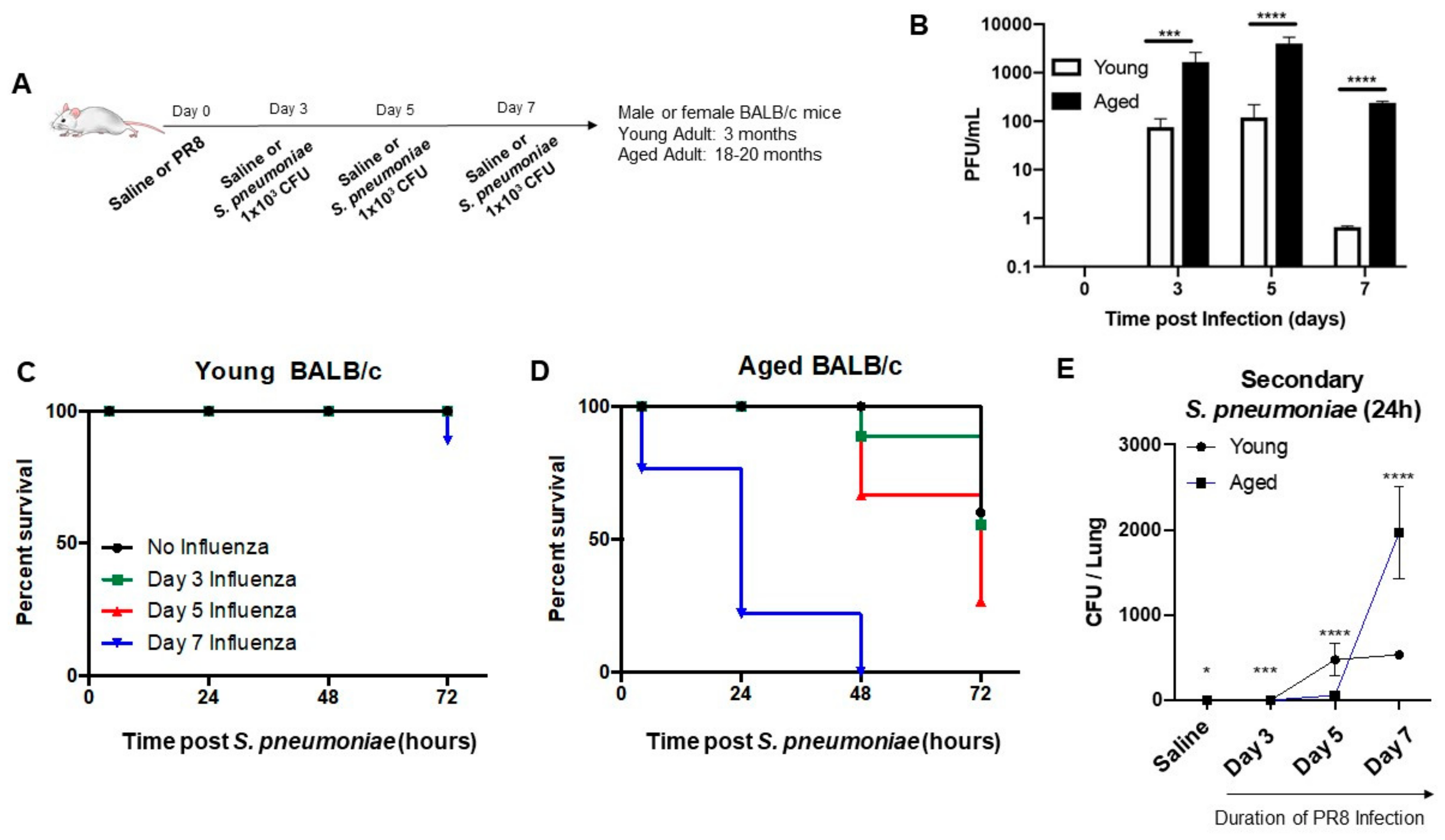 Vaccines 08 00298 g001