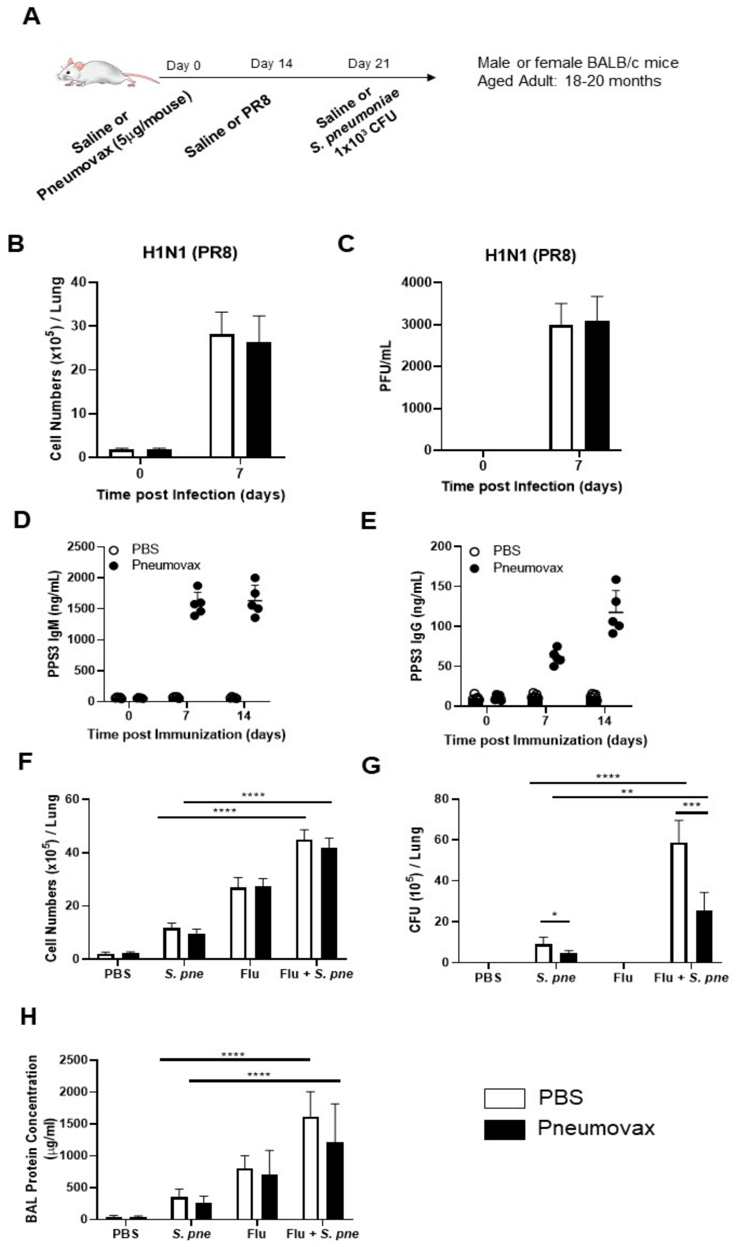 Vaccines 08 00298 g003