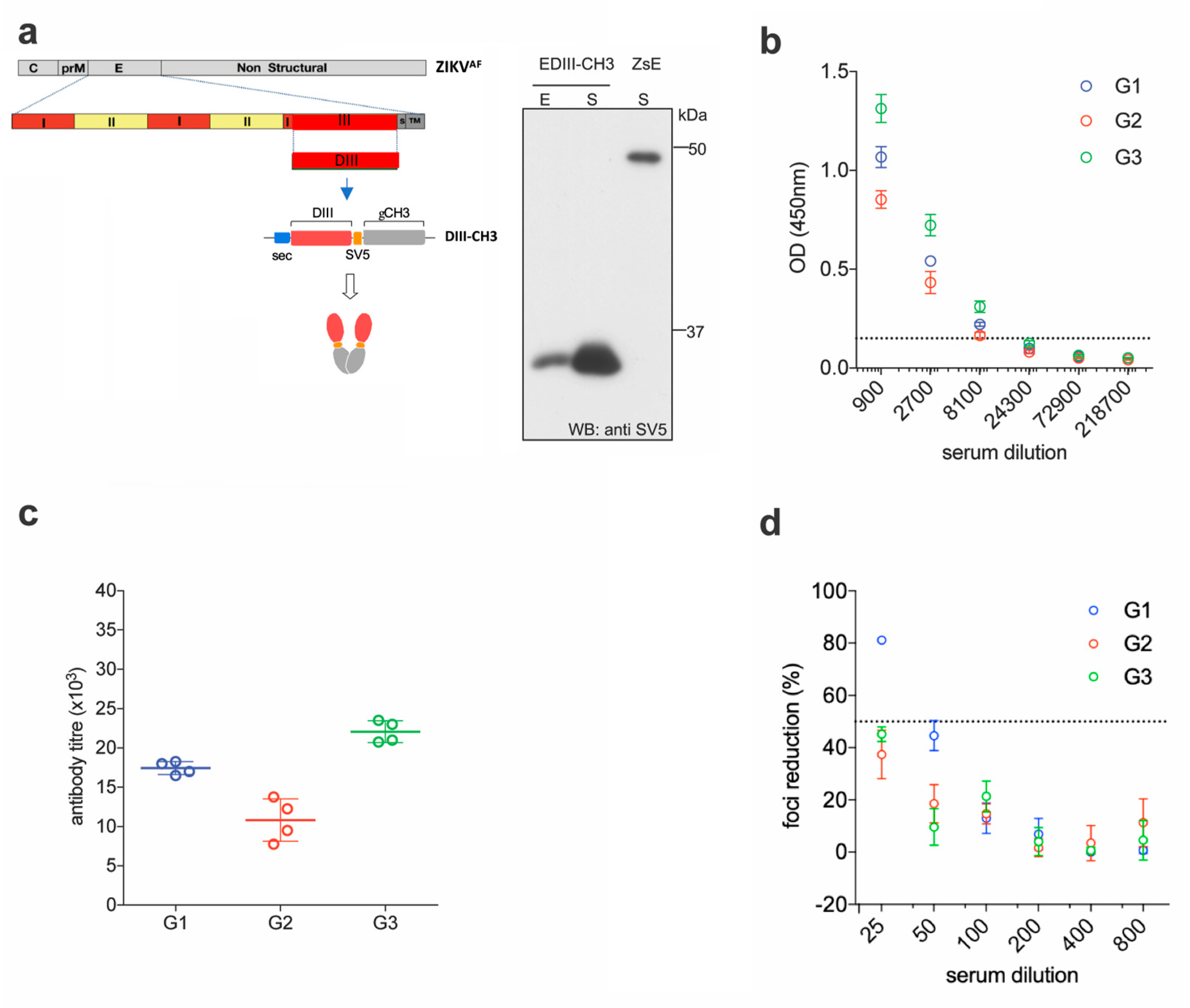Vaccines 08 00307 g001