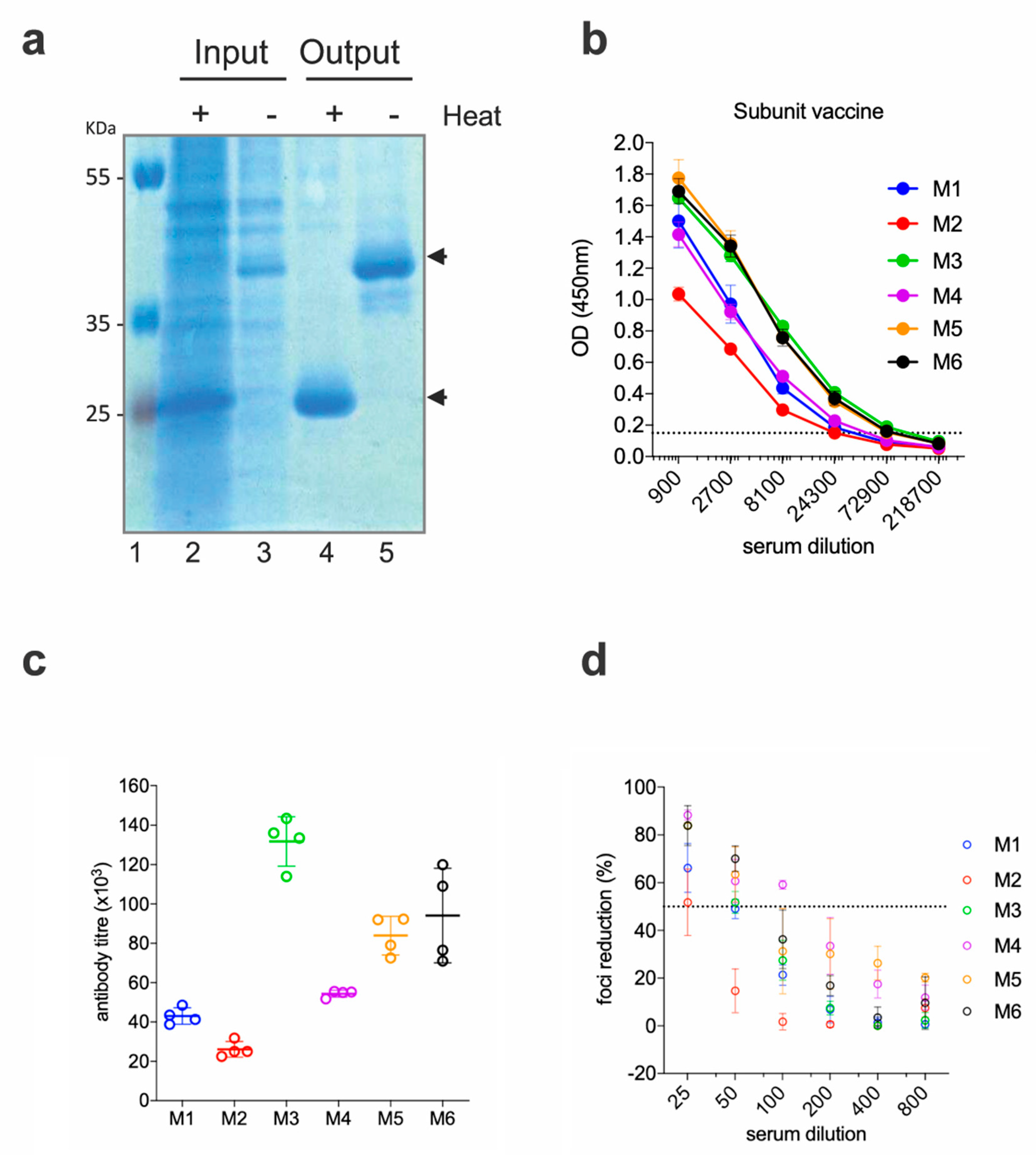 Vaccines 08 00307 g002