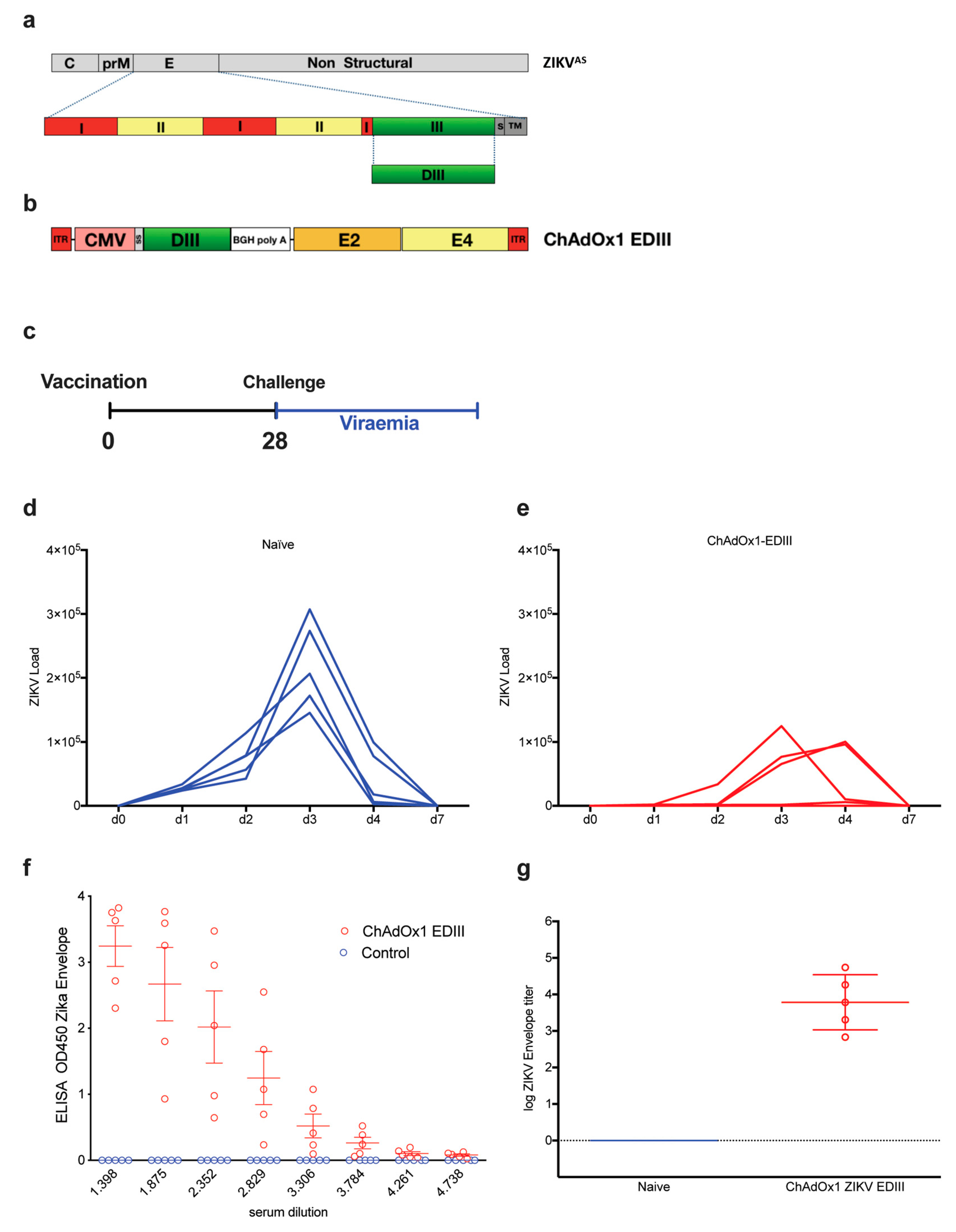 Vaccines 08 00307 g004