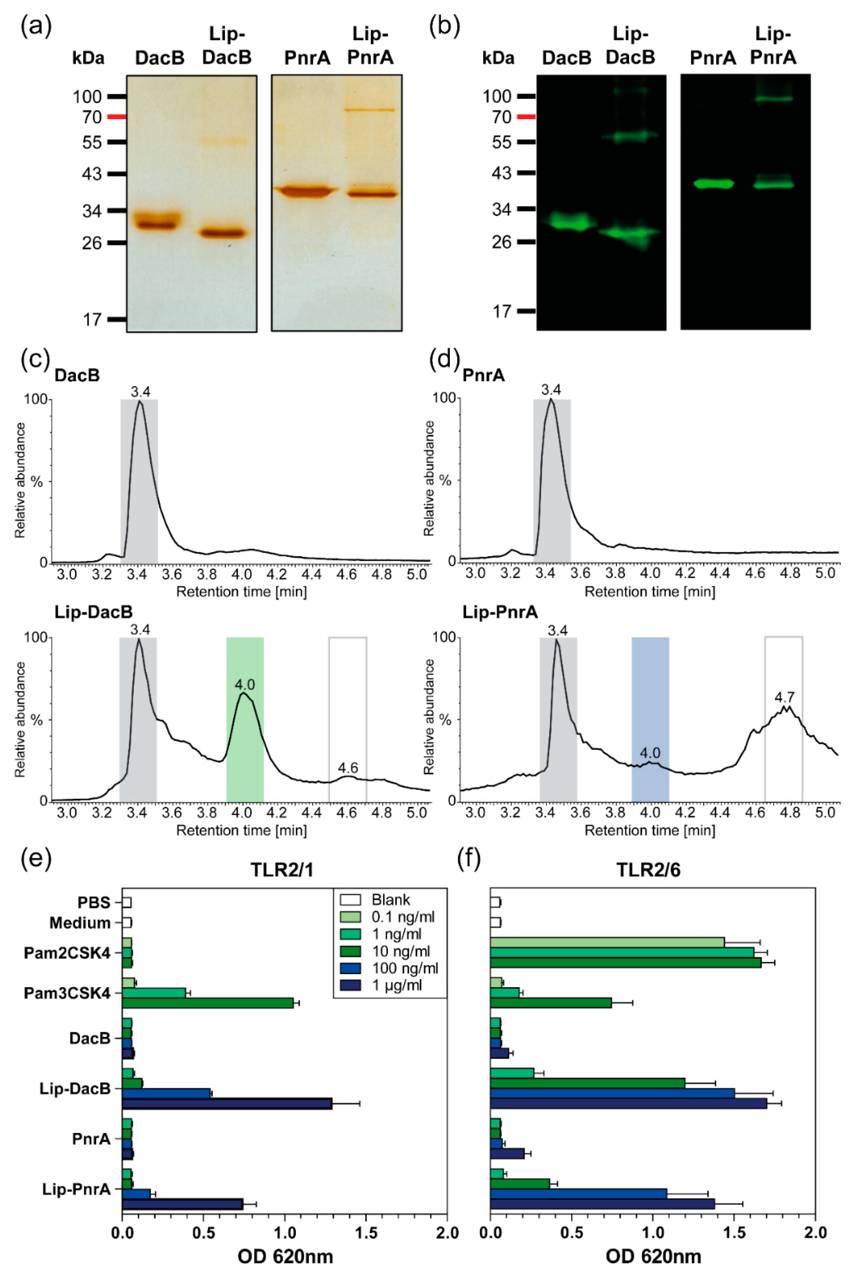 Vaccines 08 00310 g001