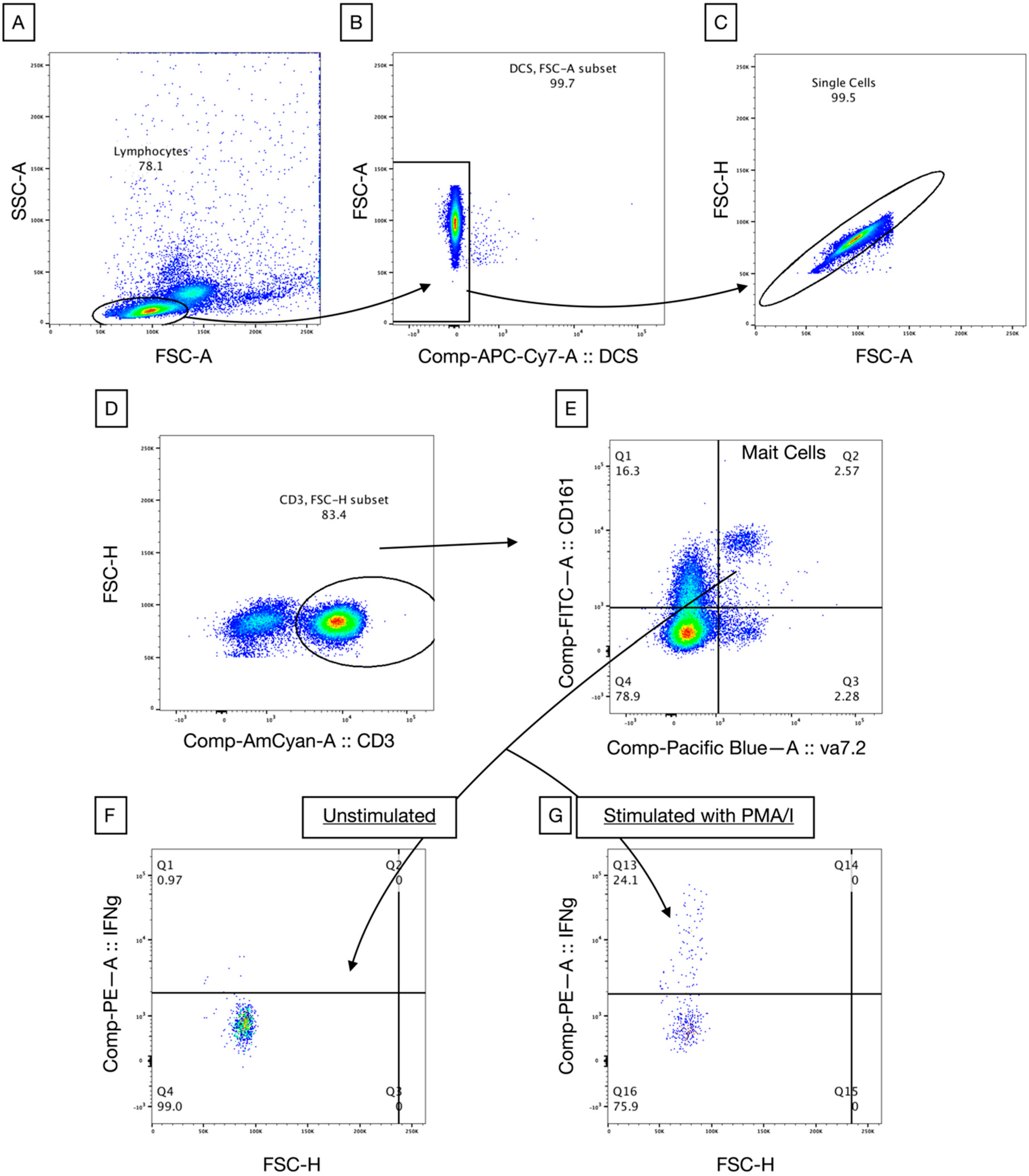 Vaccines 08 00311 g001