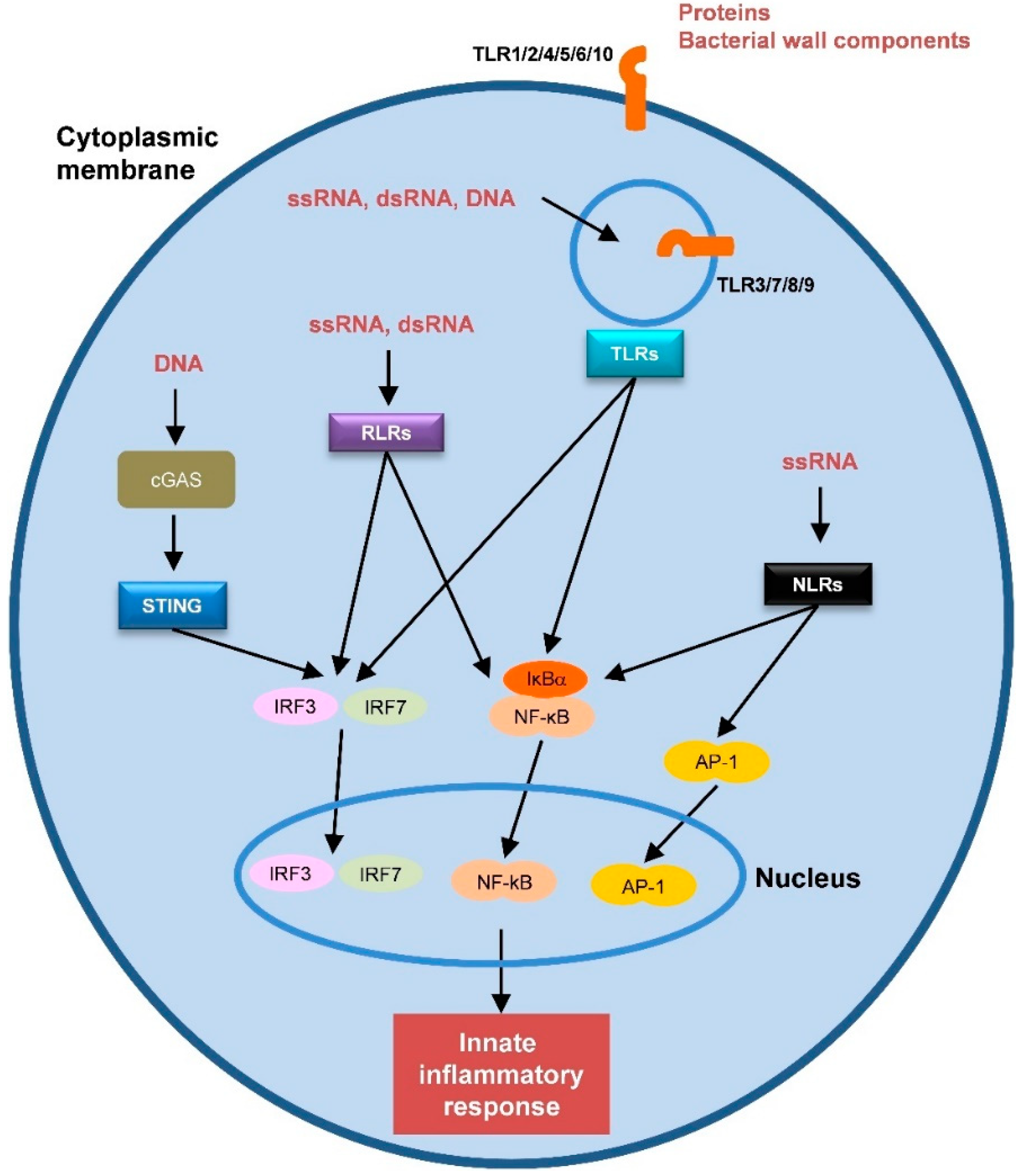 Vaccines 08 00313 g001