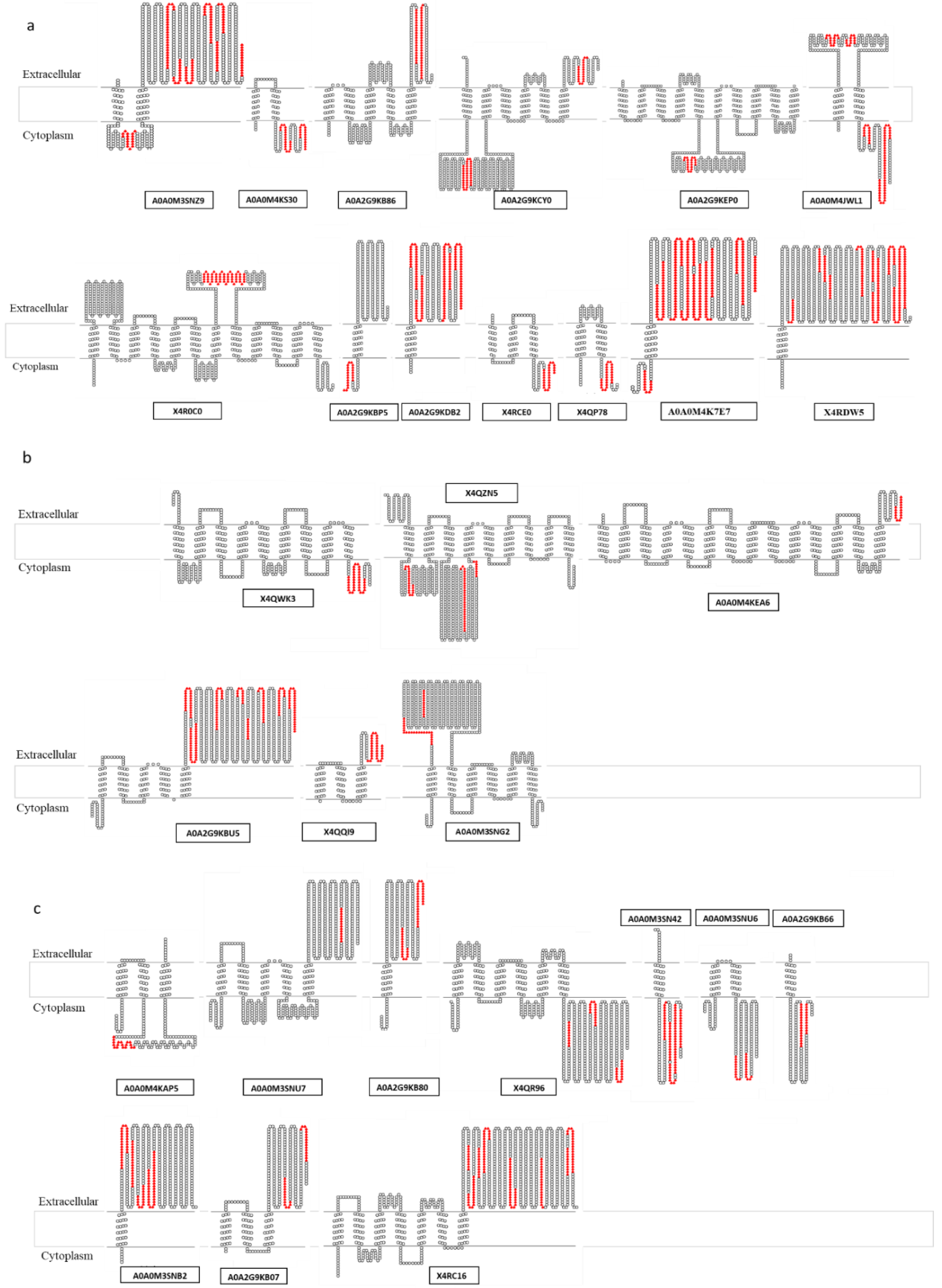 Vaccines 08 00314 g002