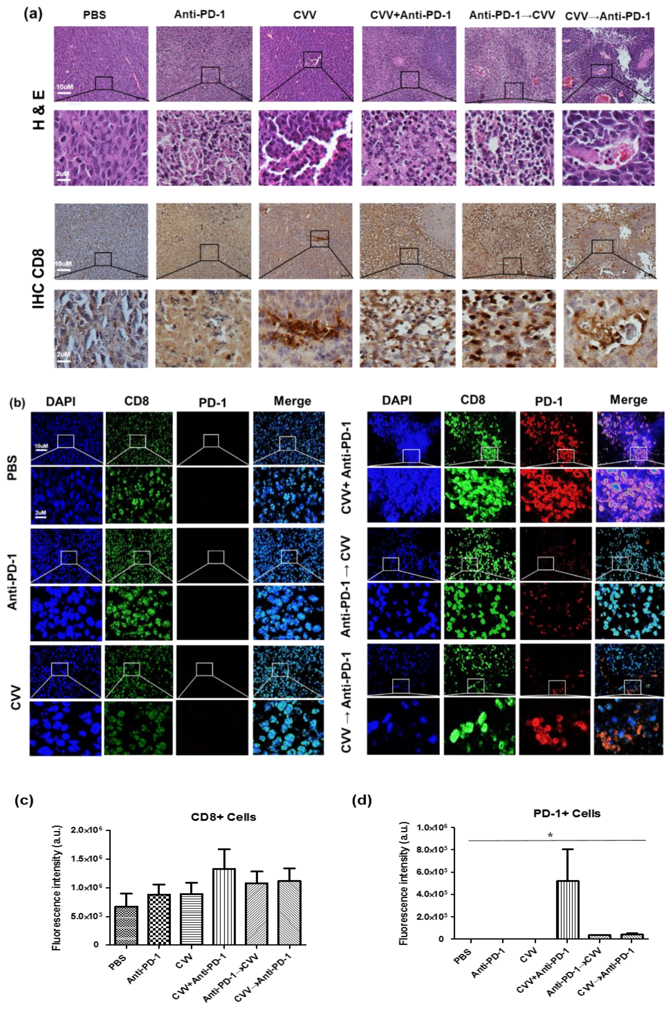 Vaccines 08 00321 g005