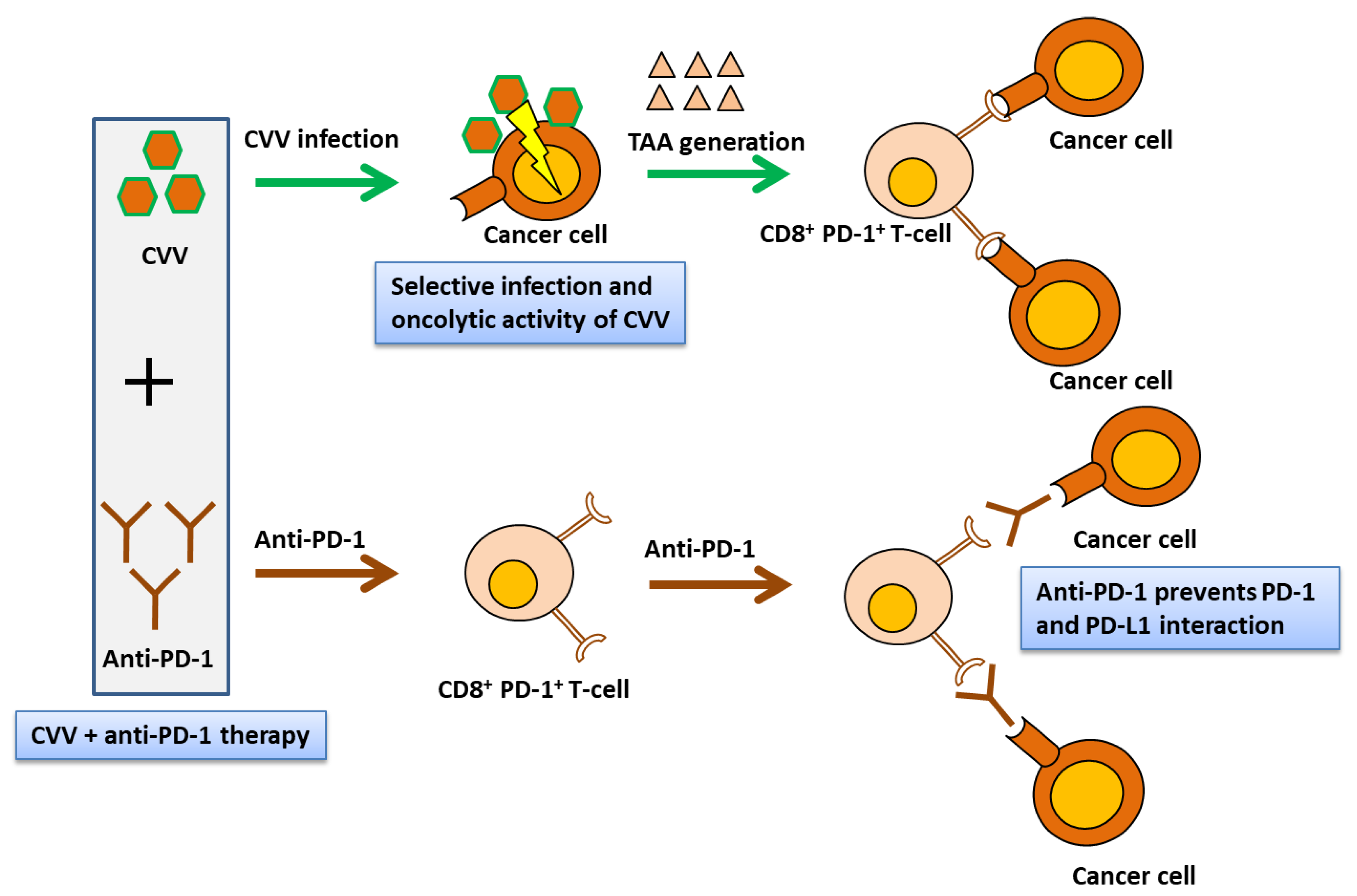 Vaccines 08 00321 g009
