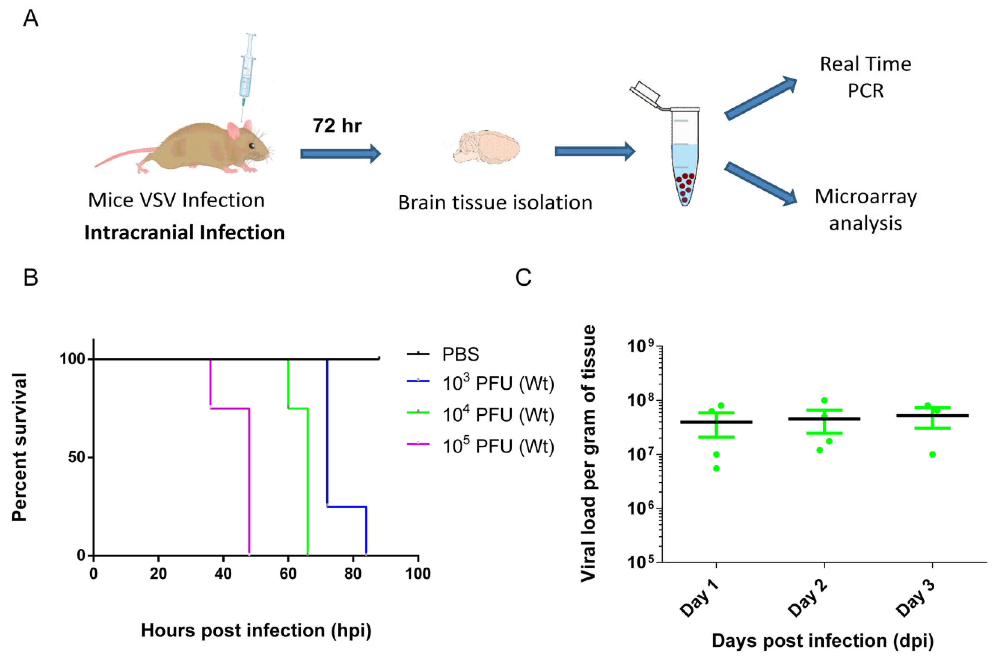 Vaccines 08 00326 g001 Vaccines 08 00326 g001