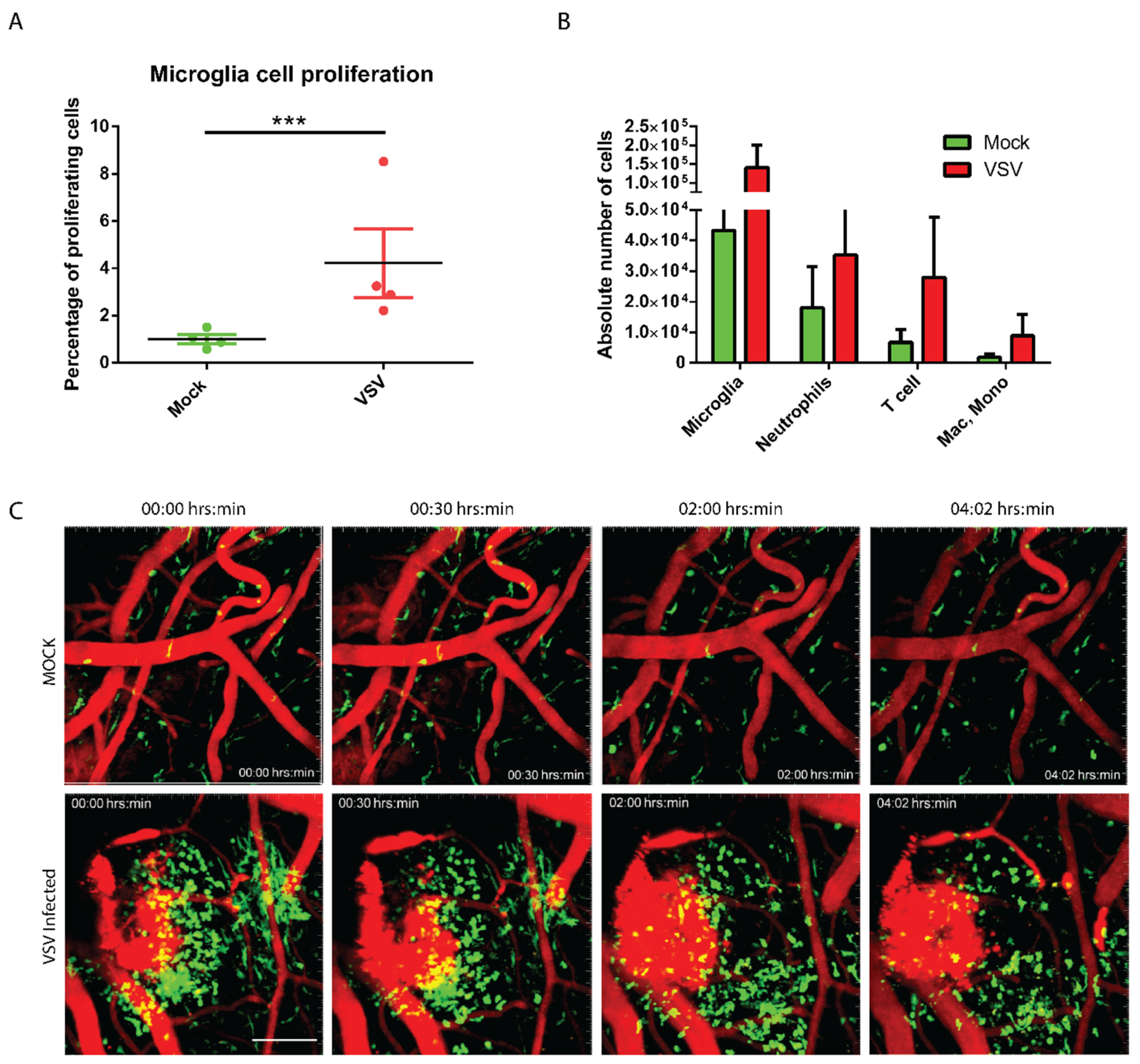 Vaccines 08 00326 g002 Vaccines 08 00326 g002