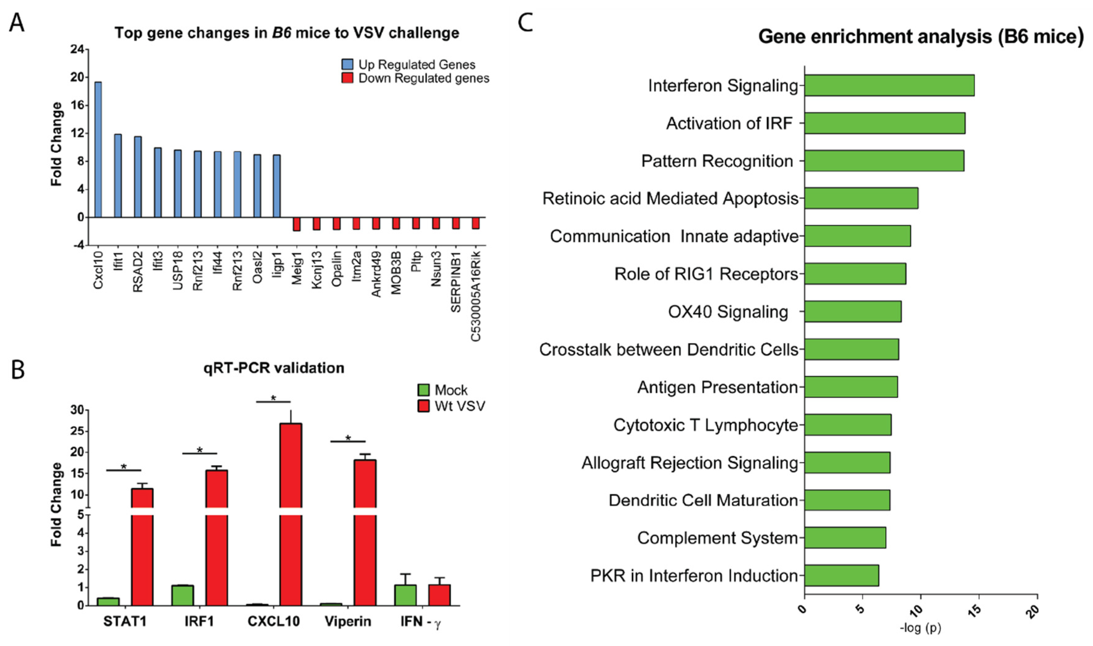 Vaccines 08 00326 g003 Vaccines 08 00326 g003