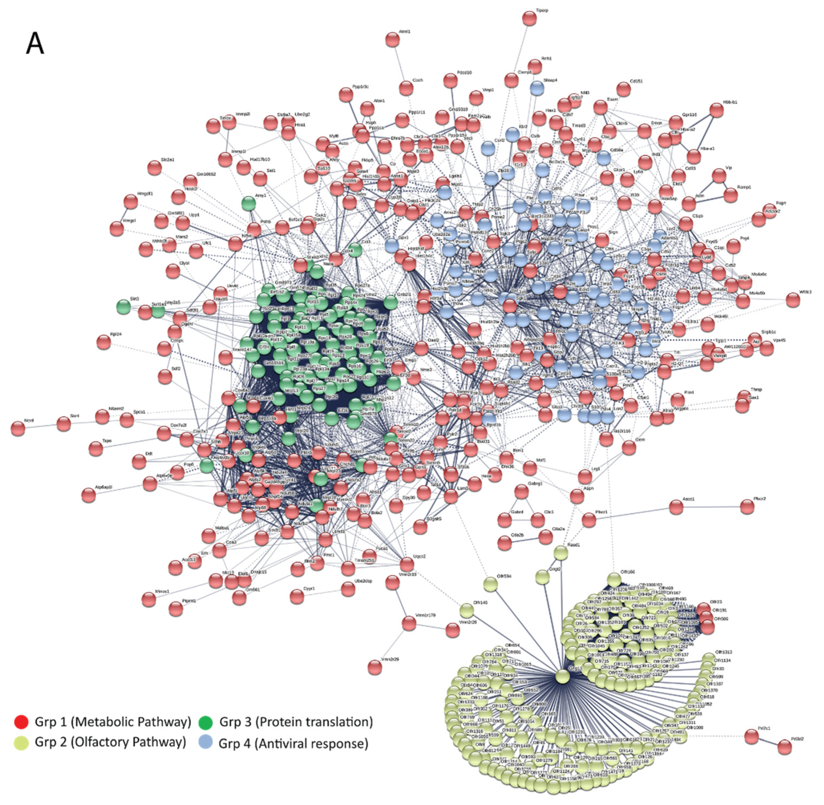 Vaccines 08 00326 g007a Vaccines 08 00326 g007a