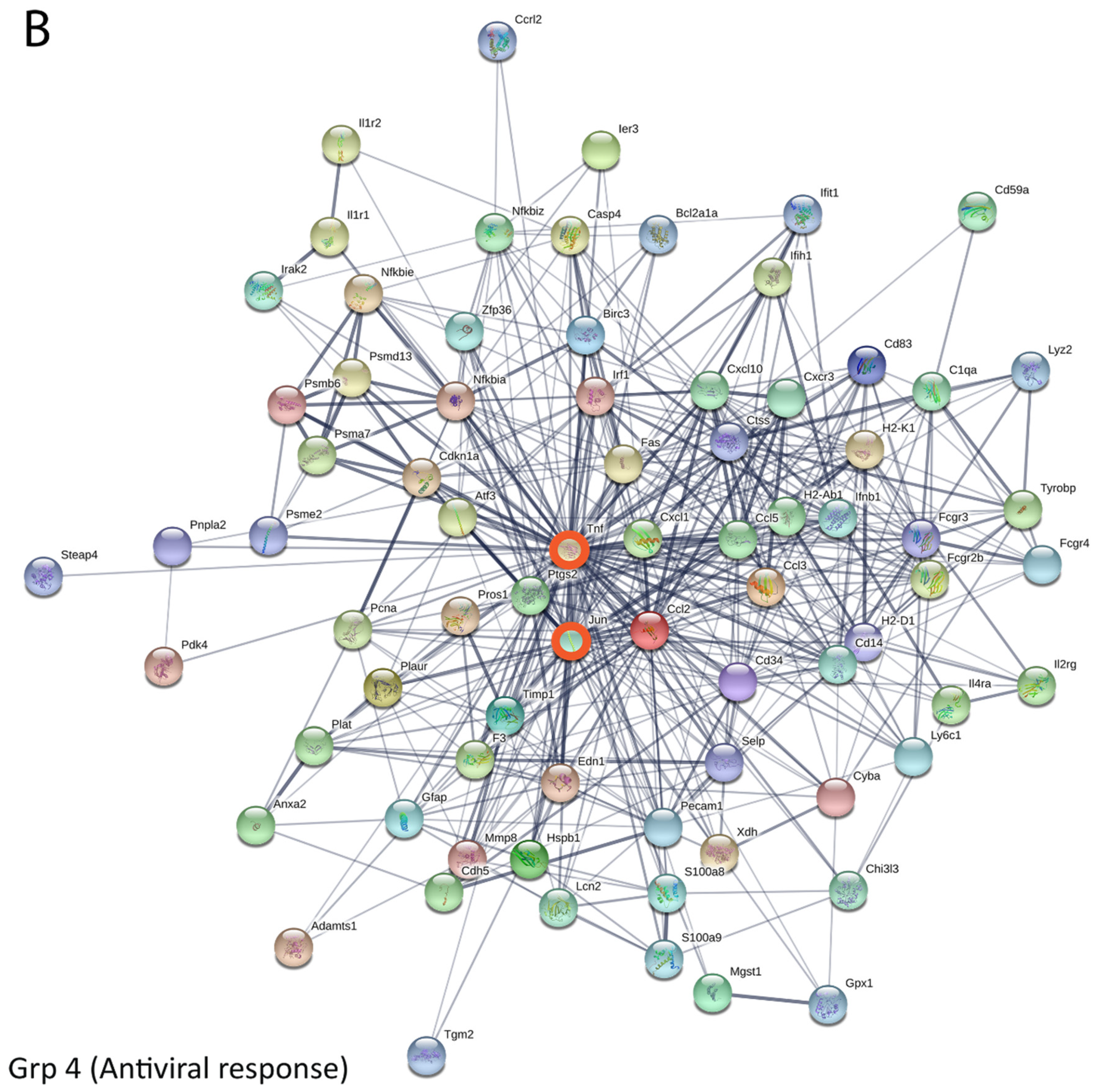 Vaccines 08 00326 g007b Vaccines 08 00326 g007b
