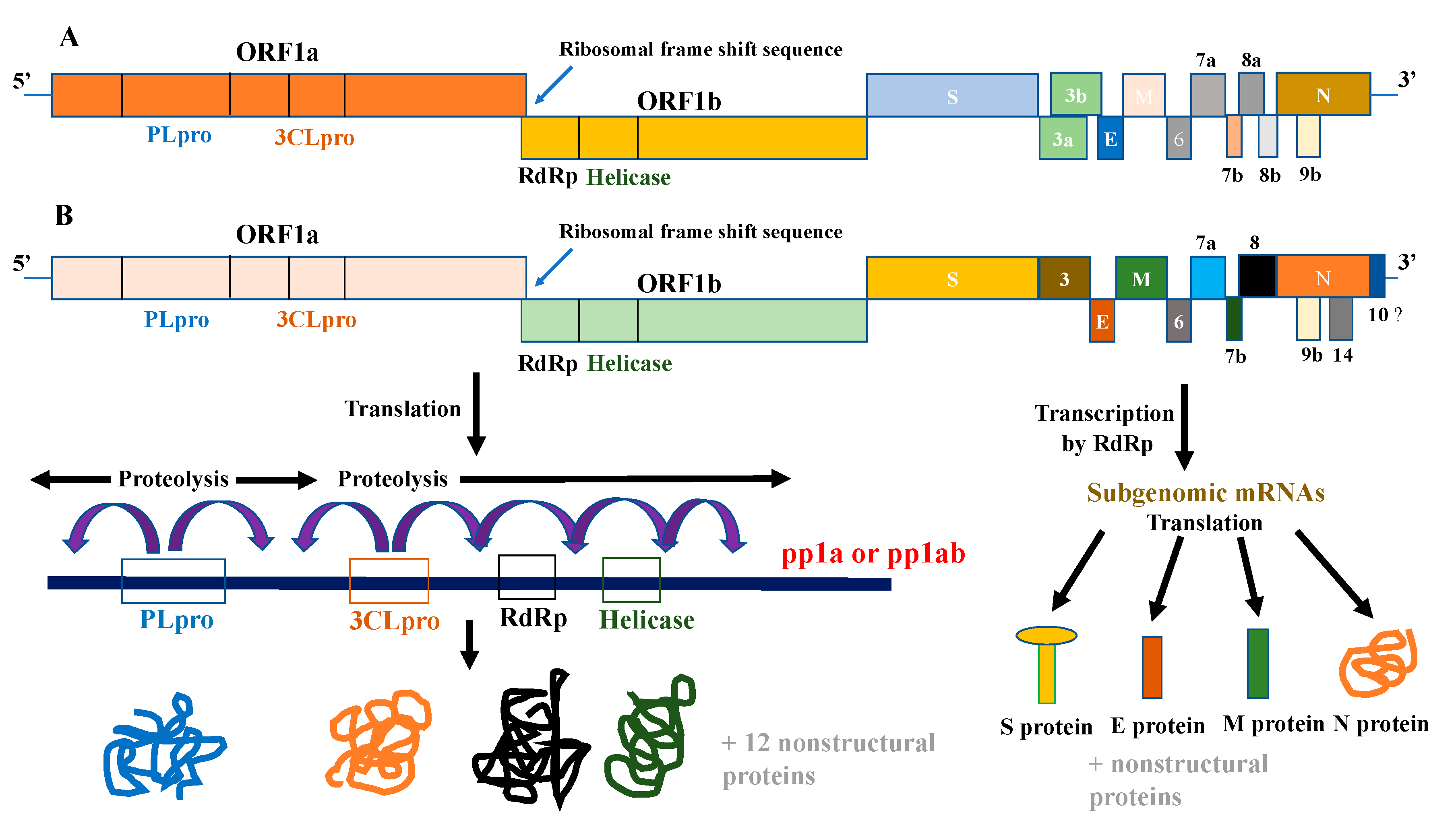 Vaccines 08 00335 g001