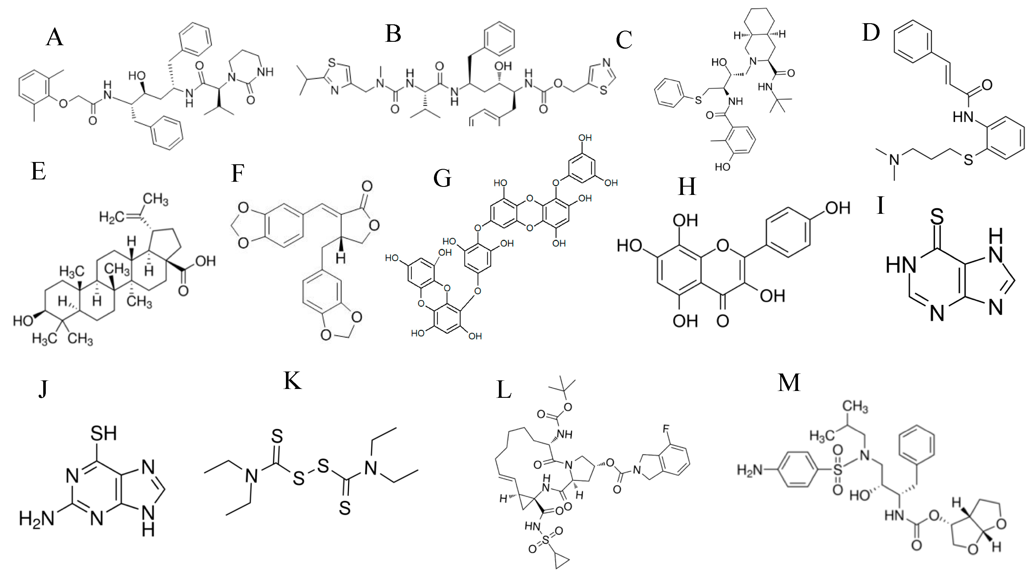 Vaccines 08 00335 g003