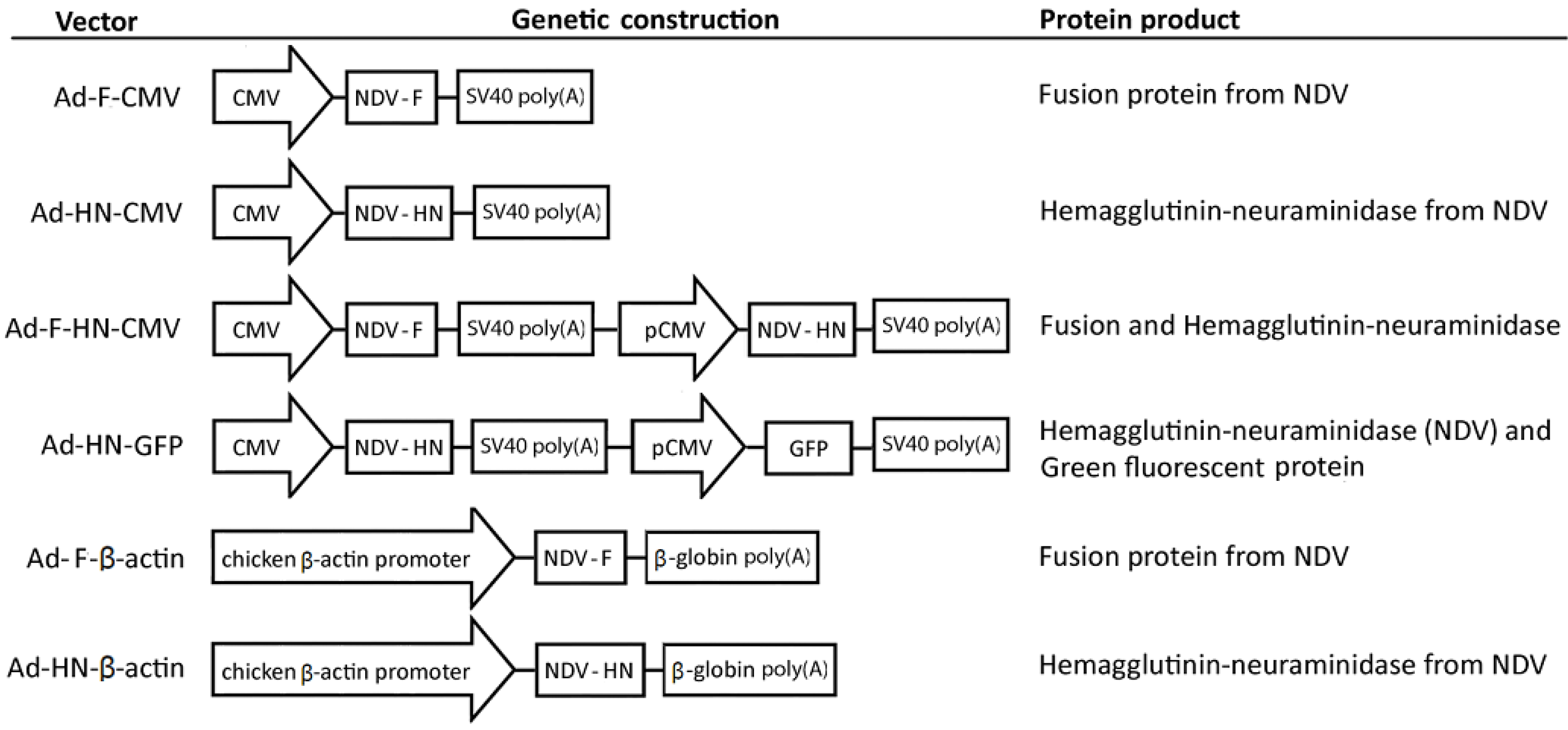 Vaccines 08 00338 g001