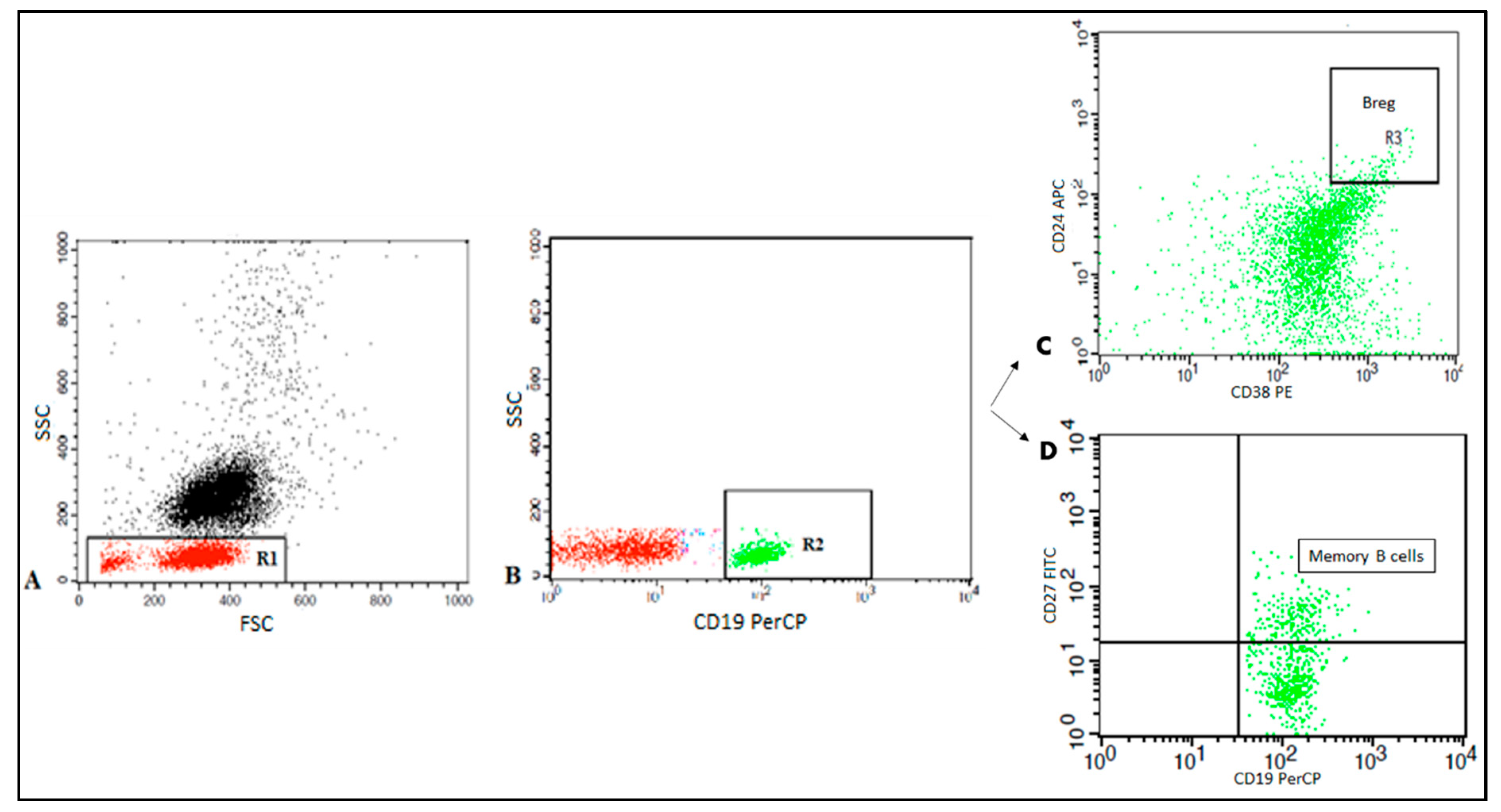 Vaccines 08 00340 g001