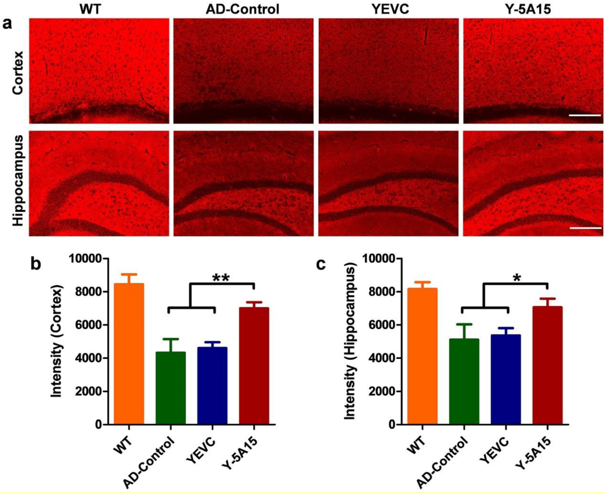 Vaccines 08 00351 g006 Vaccines 08 00351 g006