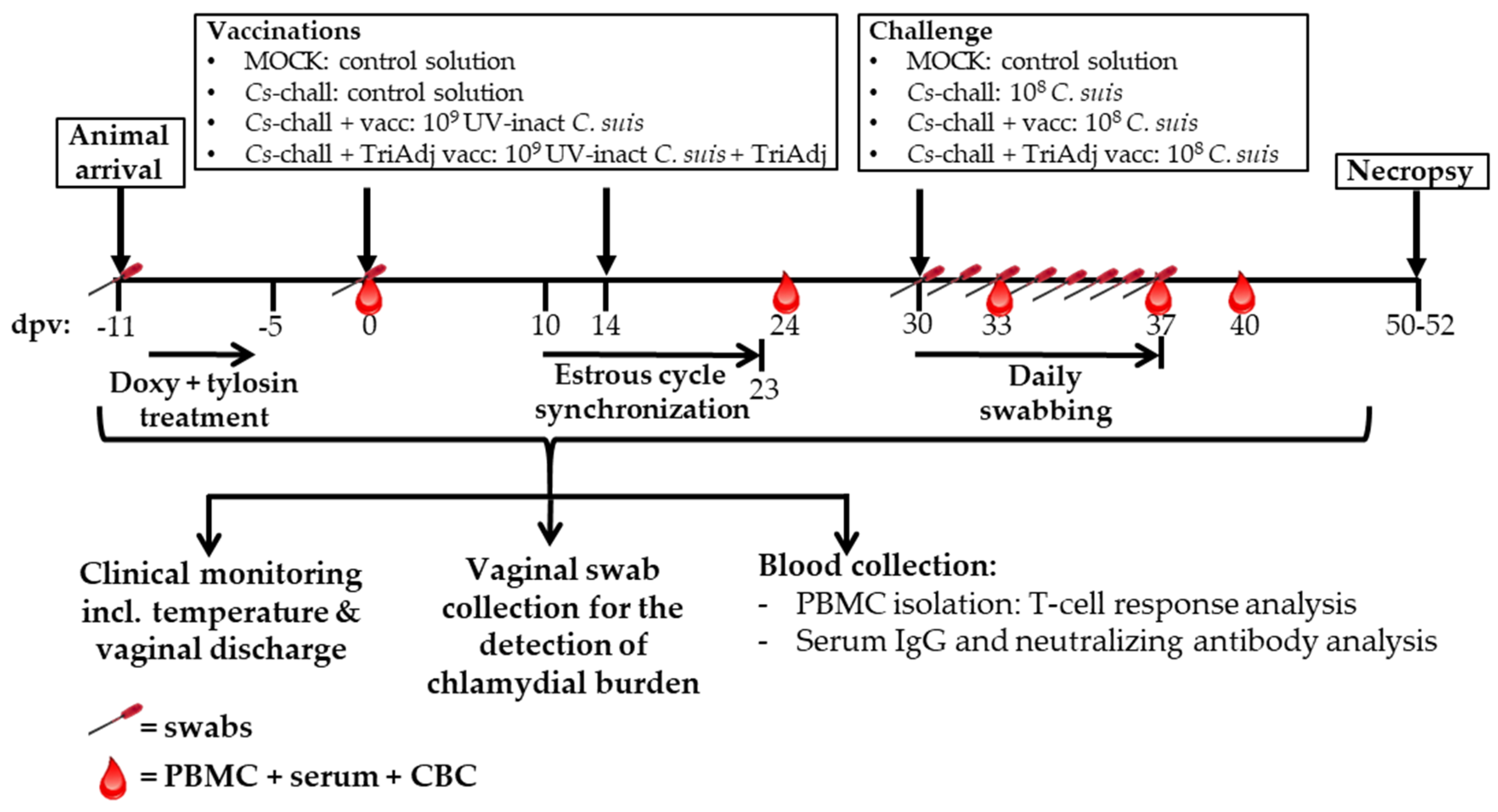 Vaccines 08 00353 g002 Vaccines 08 00353 g002