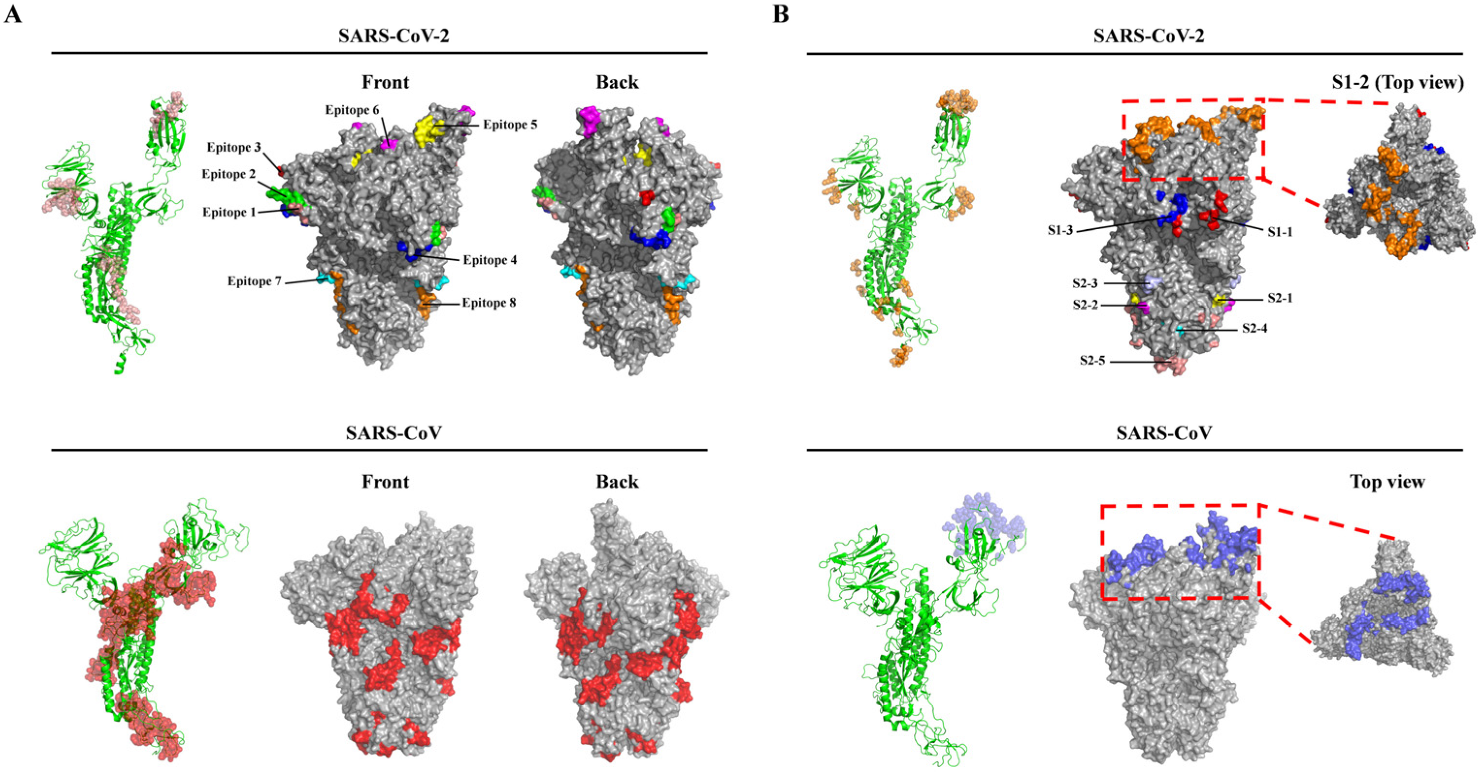 Vaccines 08 00355 g002