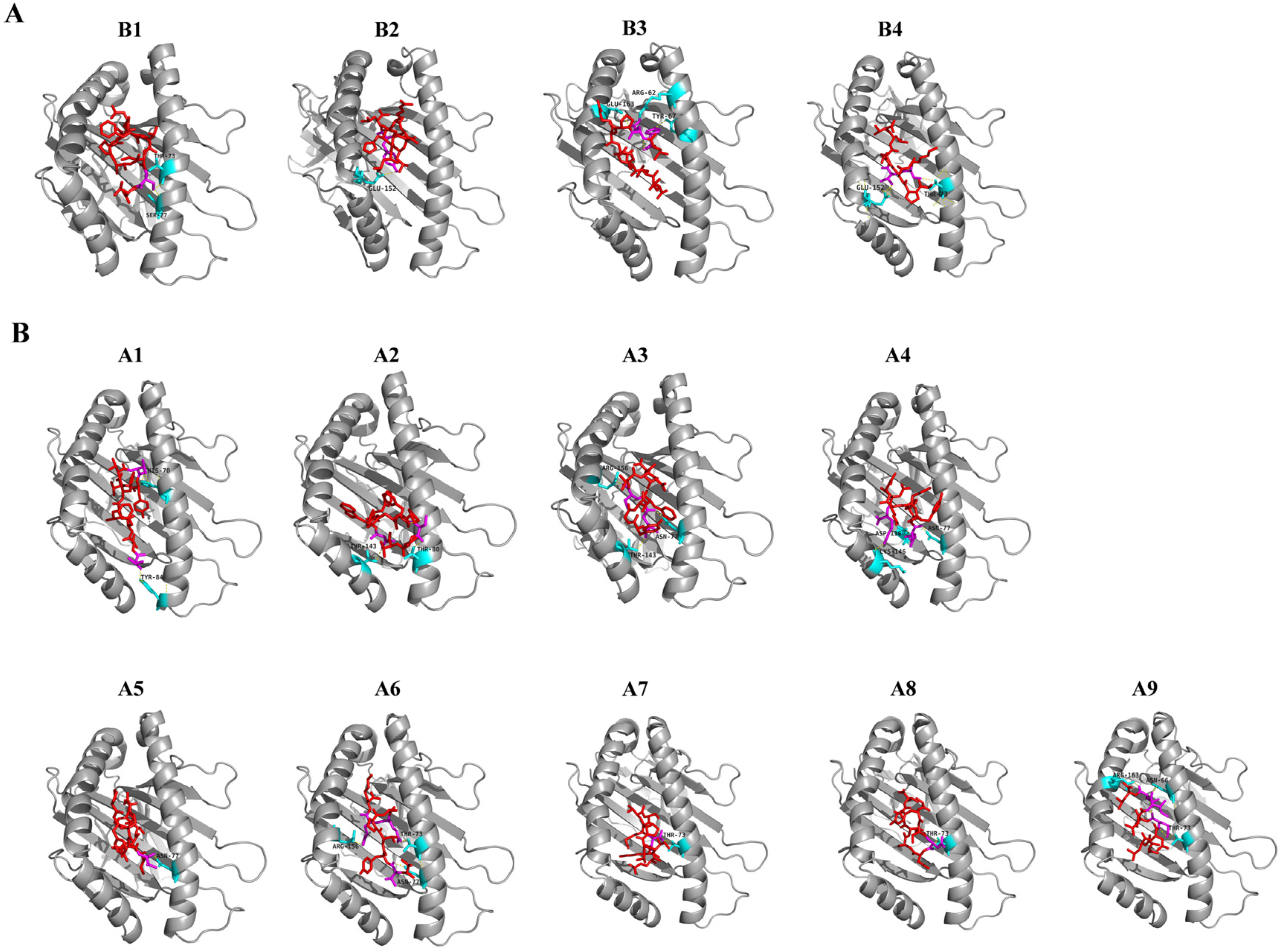 Vaccines 08 00355 g003
