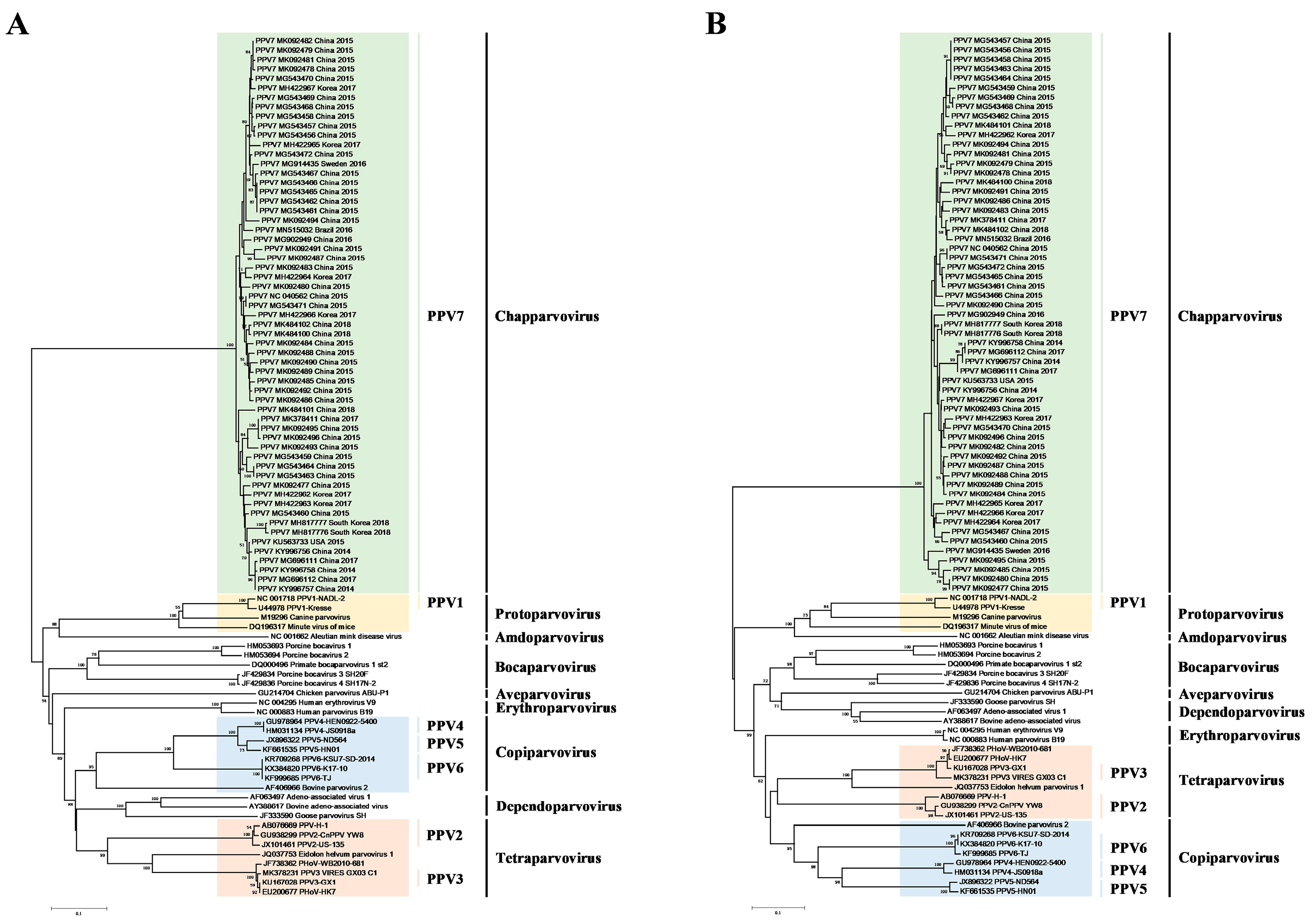Vaccines 08 00359 g001