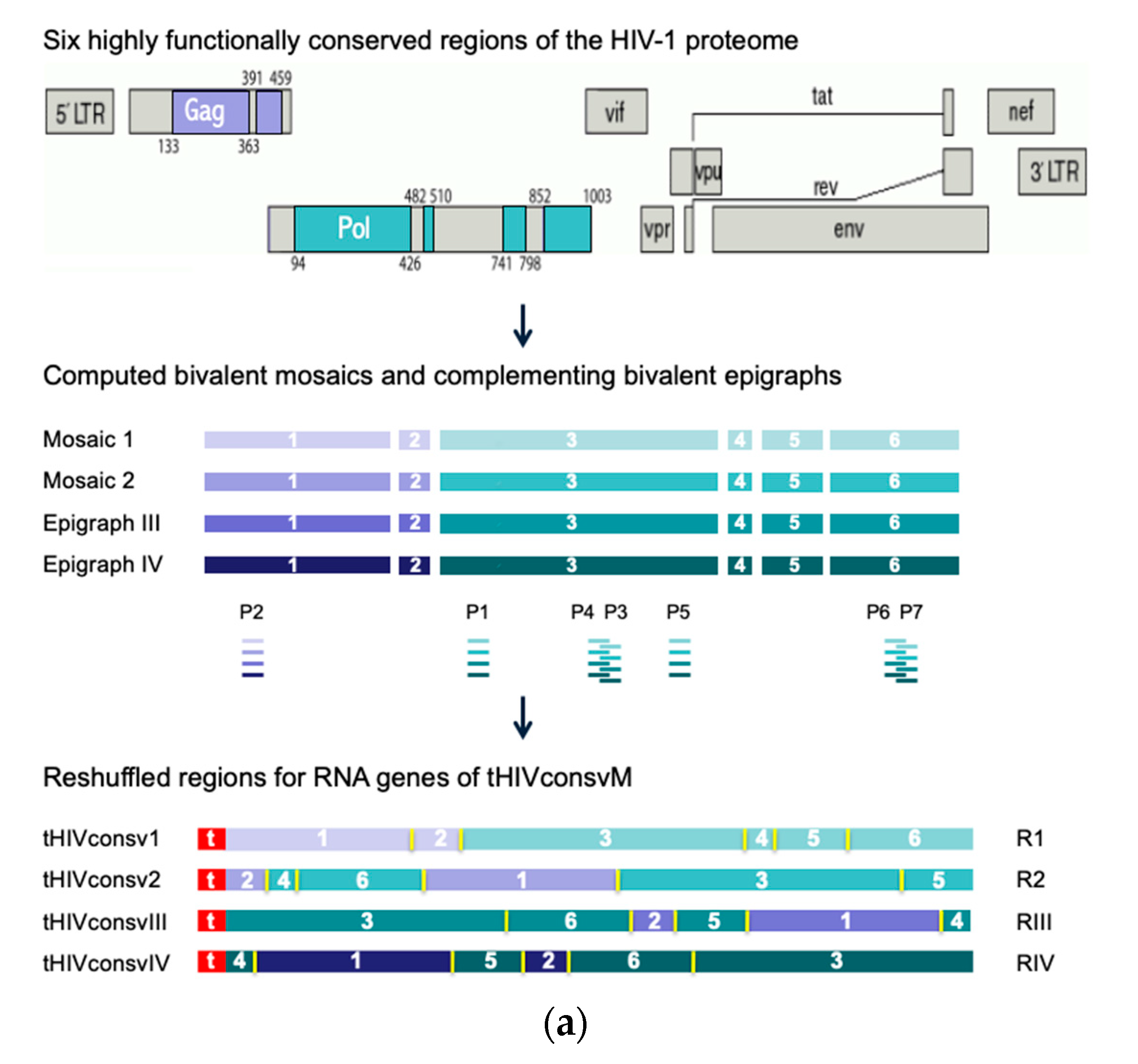 Vaccines 08 00360 g001a
