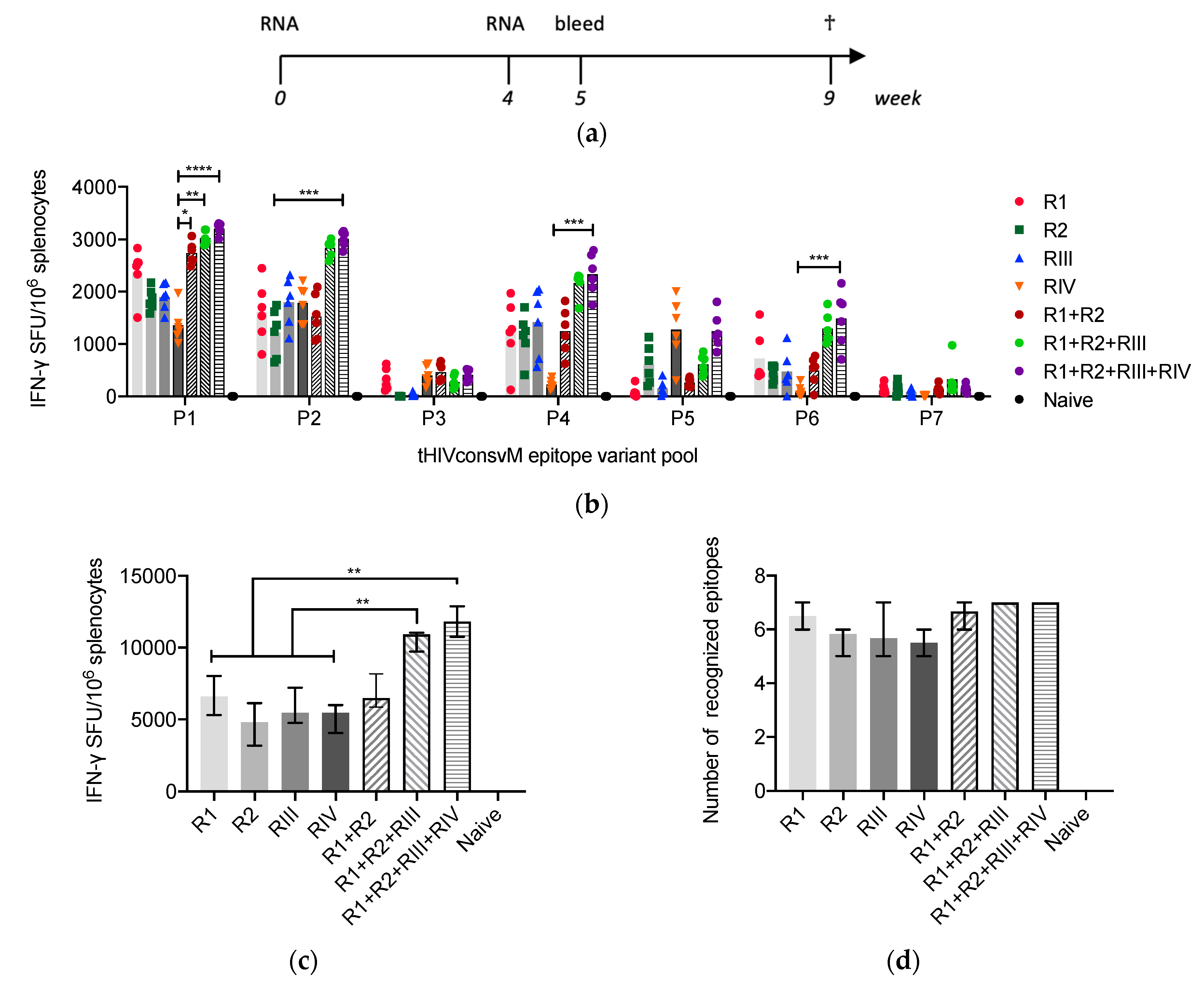 Vaccines 08 00360 g002